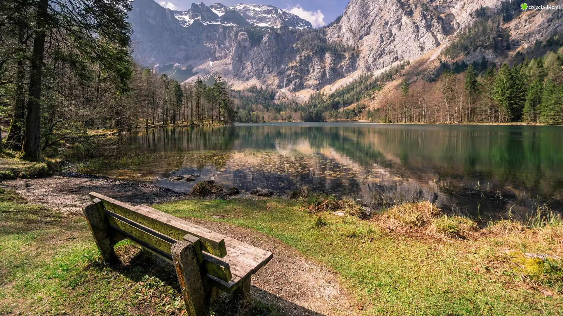 Austria, Jezioro Hintere Langbathsee, Góry Alpy, Drzewa, Ławeczka