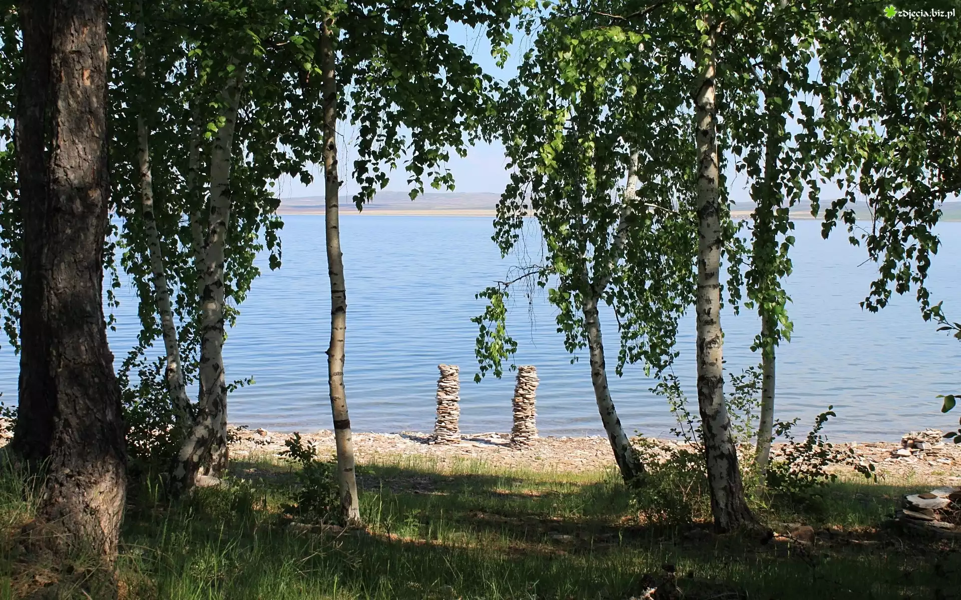 Jezioro, Kamienisty, Brzeg, Drzewa
