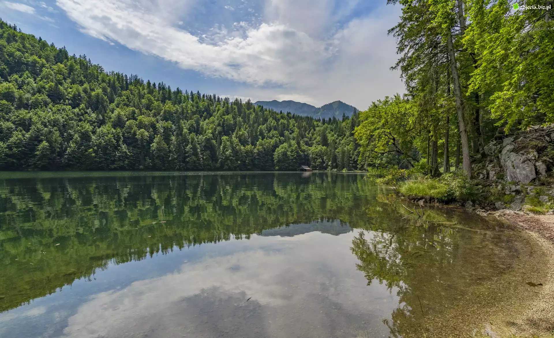 Jezioro, Toplitzsee, Brzeg, Las, Drzewa, Góry, Alpy, Odbicie, Chmury, Austria
