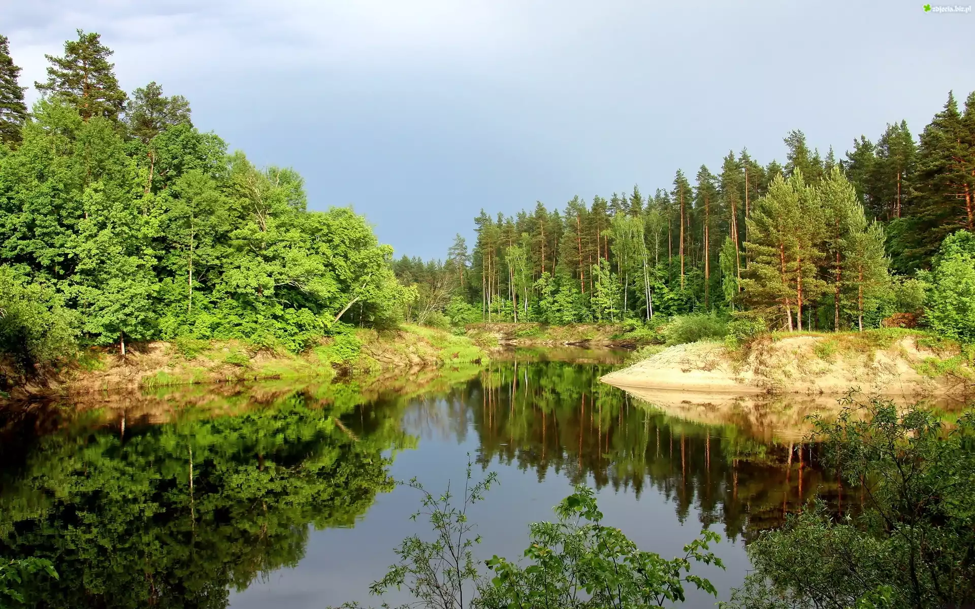 Jezioro, Las, Światło, Cień, Odbicie