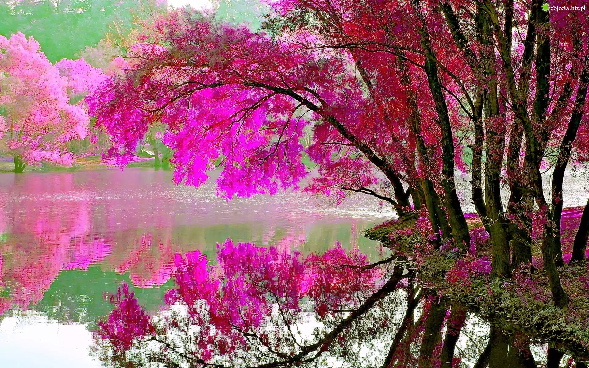 Jezioro, Drzewa