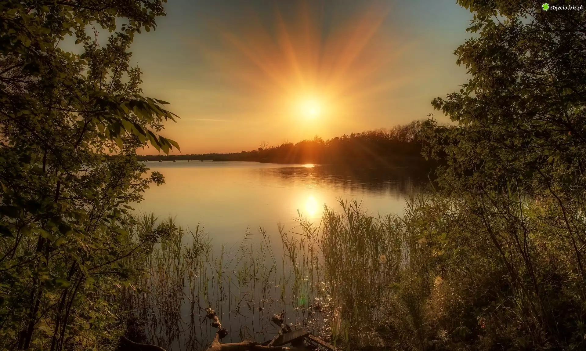 Jezioro, Zachód, Słońca, Drzewa, Trawy