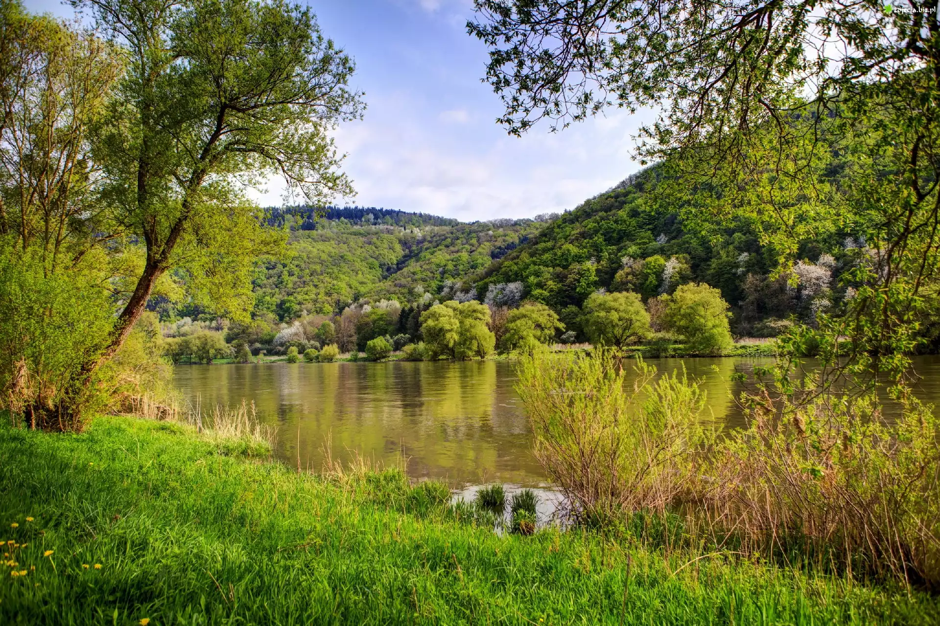 Góry, Jezioro, Drzewa