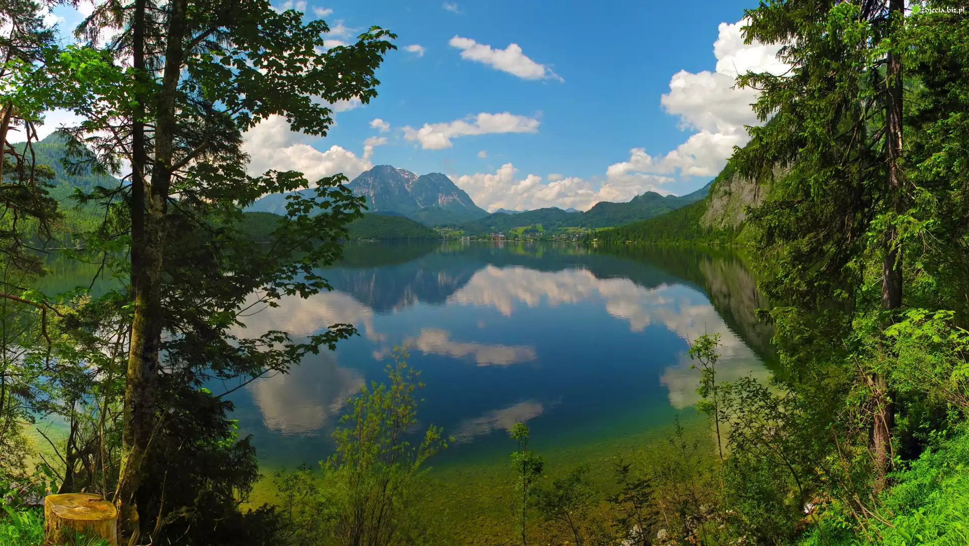 Góry, Jezioro, Drzewa