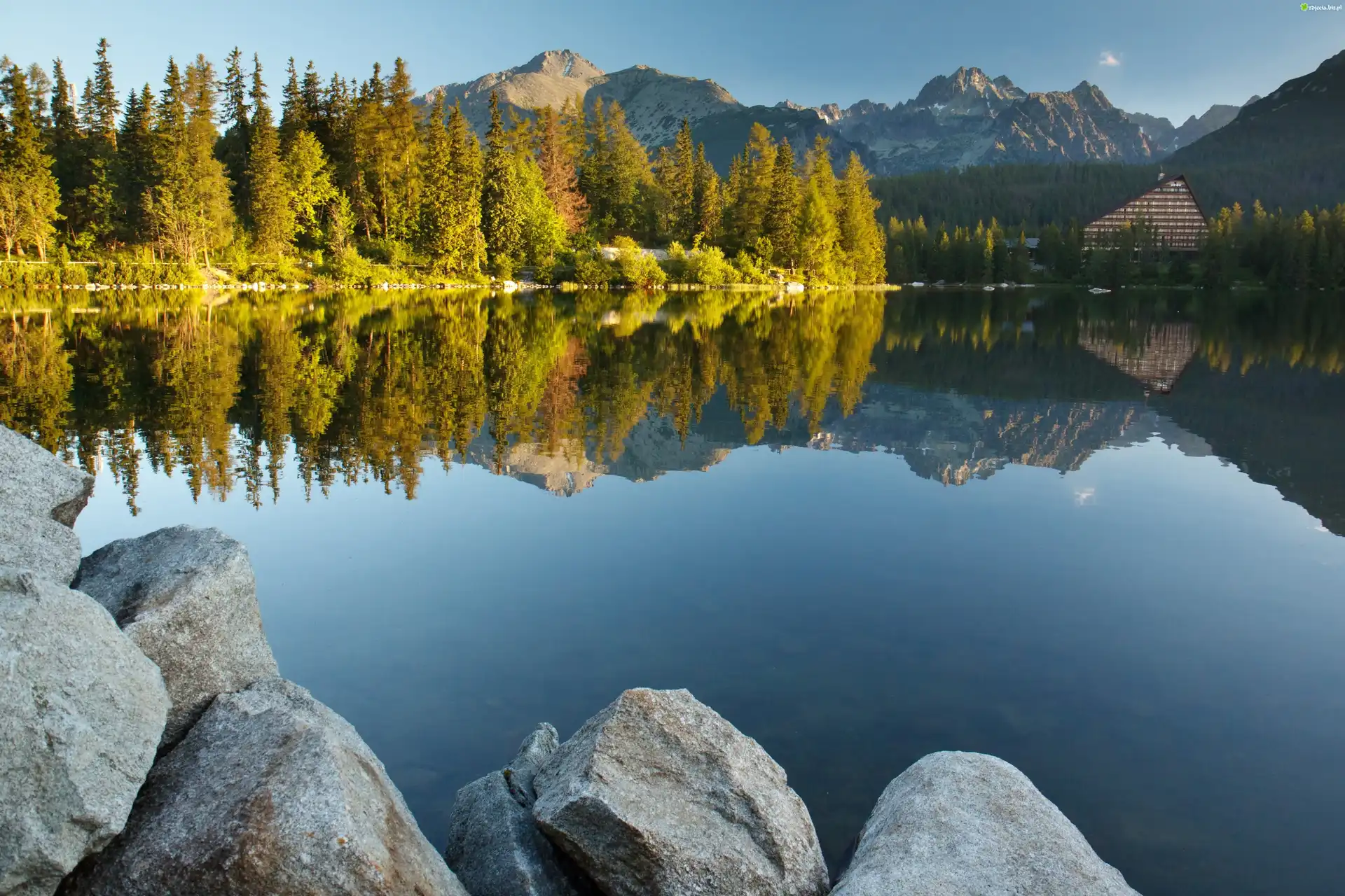 Jezioro, Góry, Las, Kamienie