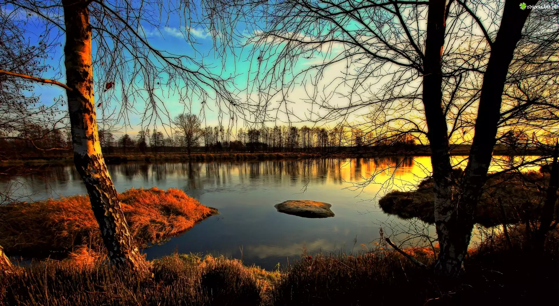 Jezioro, Zachód Słońca, Drzewa