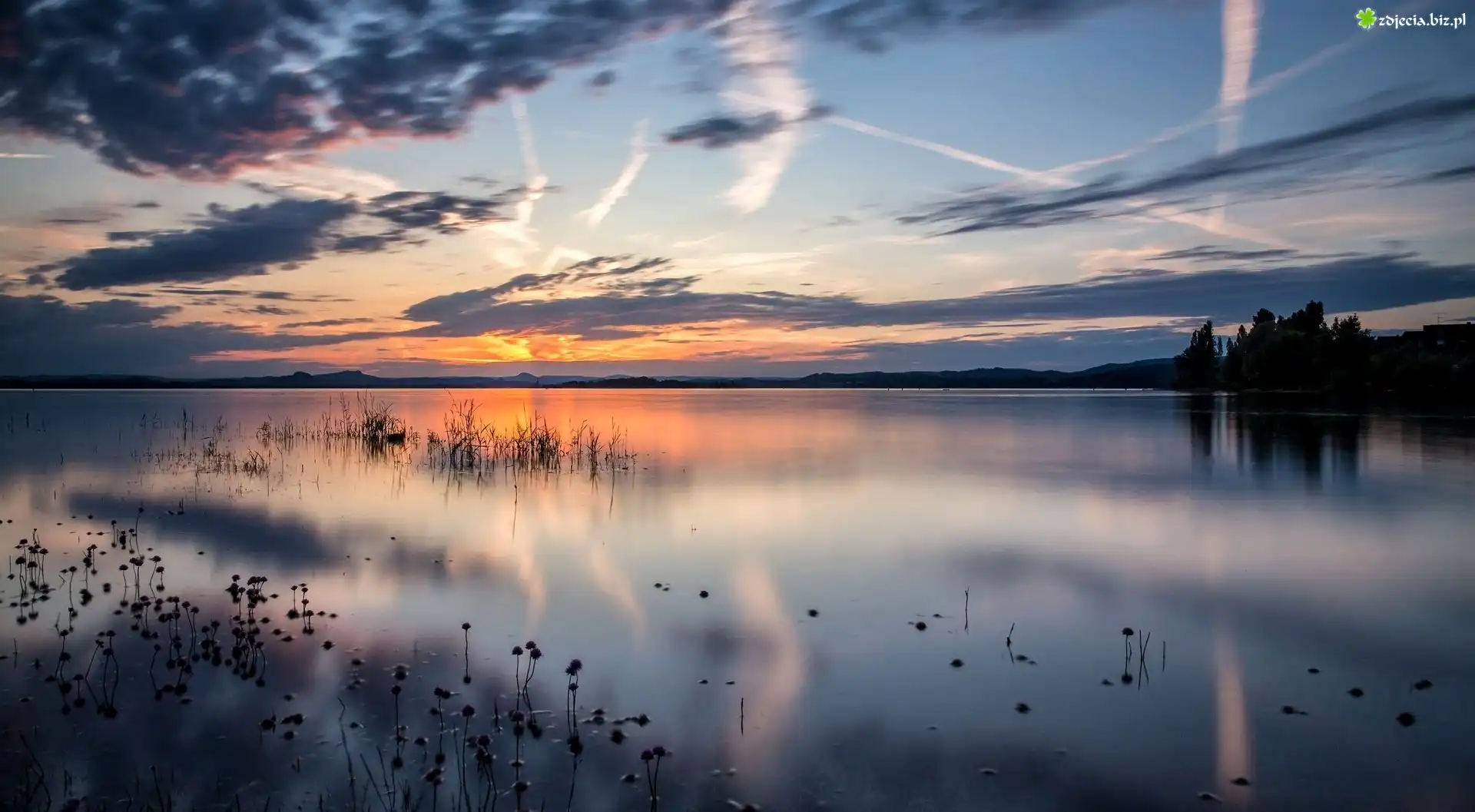 Jezioro, Niebo, Drzewa, Rośliny, Wschód, Słońca
