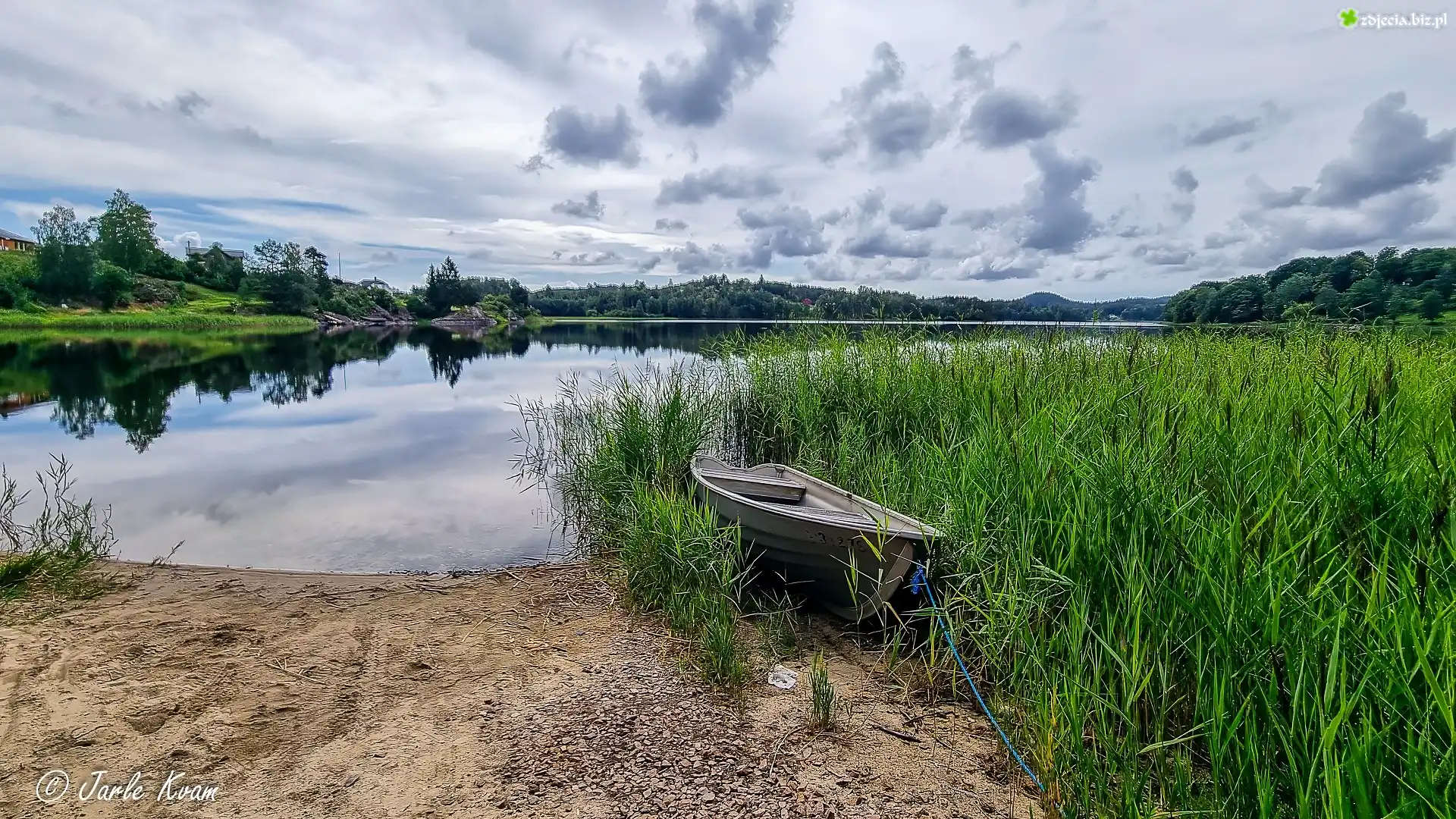 Jezioro, Łódka, Zarośla