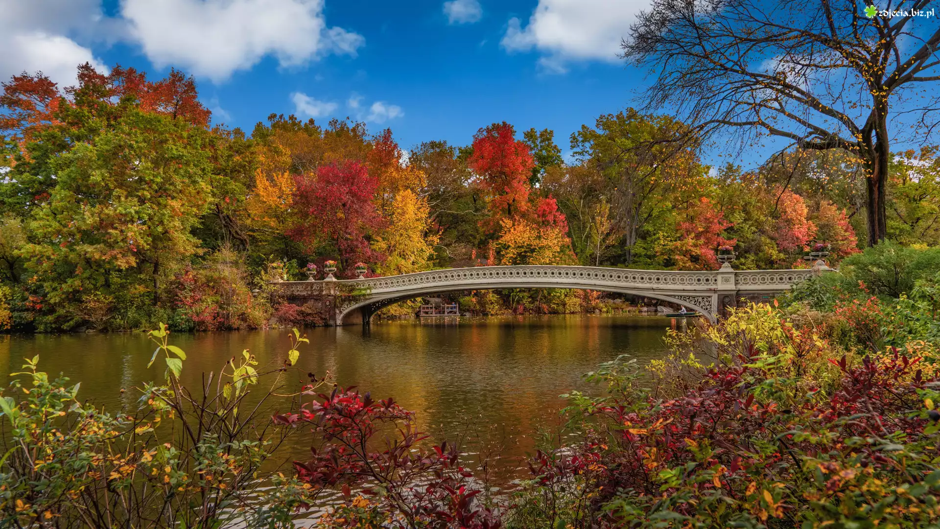 Jesień, Nowy Jork, Manhattan, Central Park, Drzewa, Jezioro, Most, Stany Zjednoczone