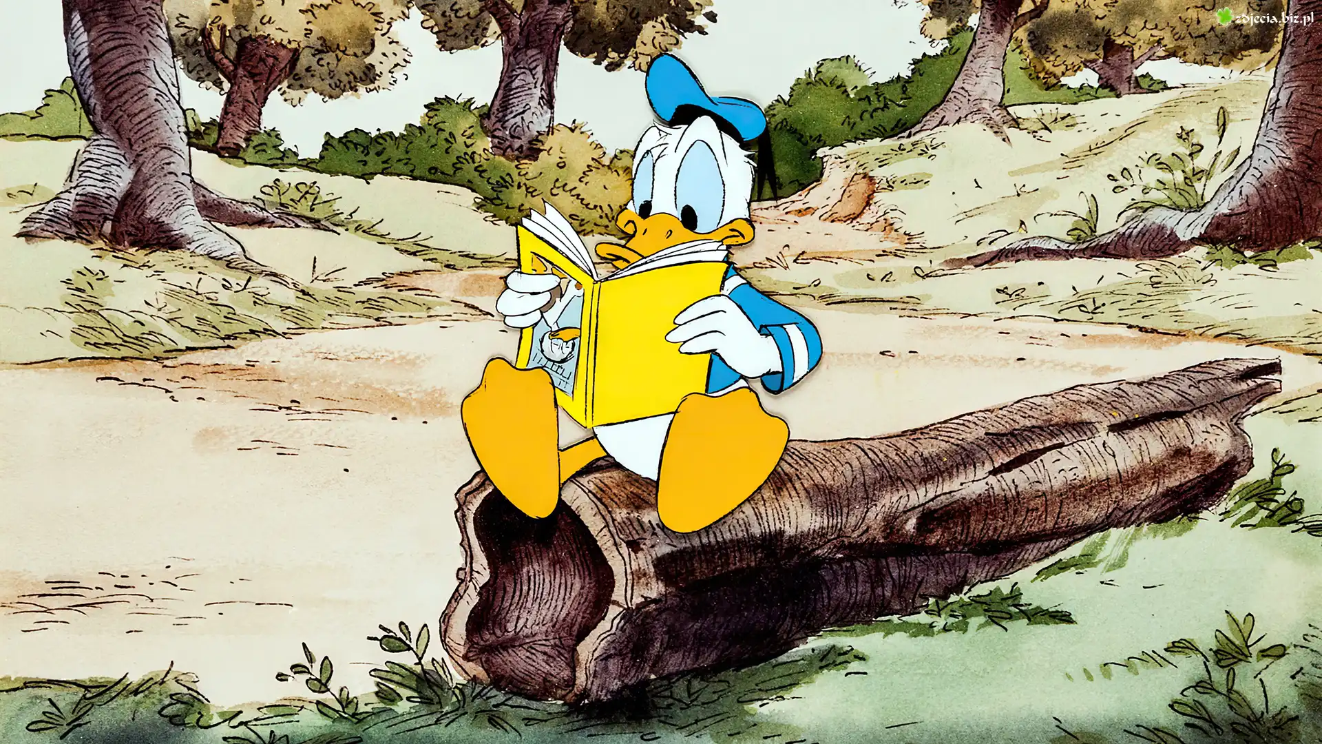 Serial animowany, Postać, Kaczor Donald, Książka