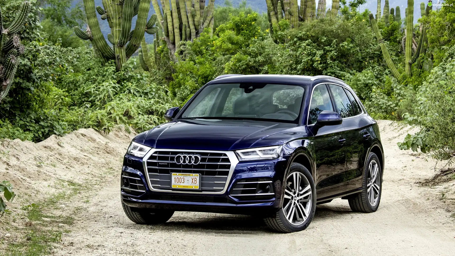 Audi q5 tfsi quattro