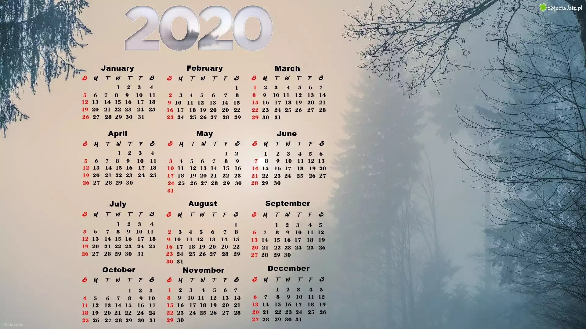 Kalendarz, 2020, Drzewa, Mgła