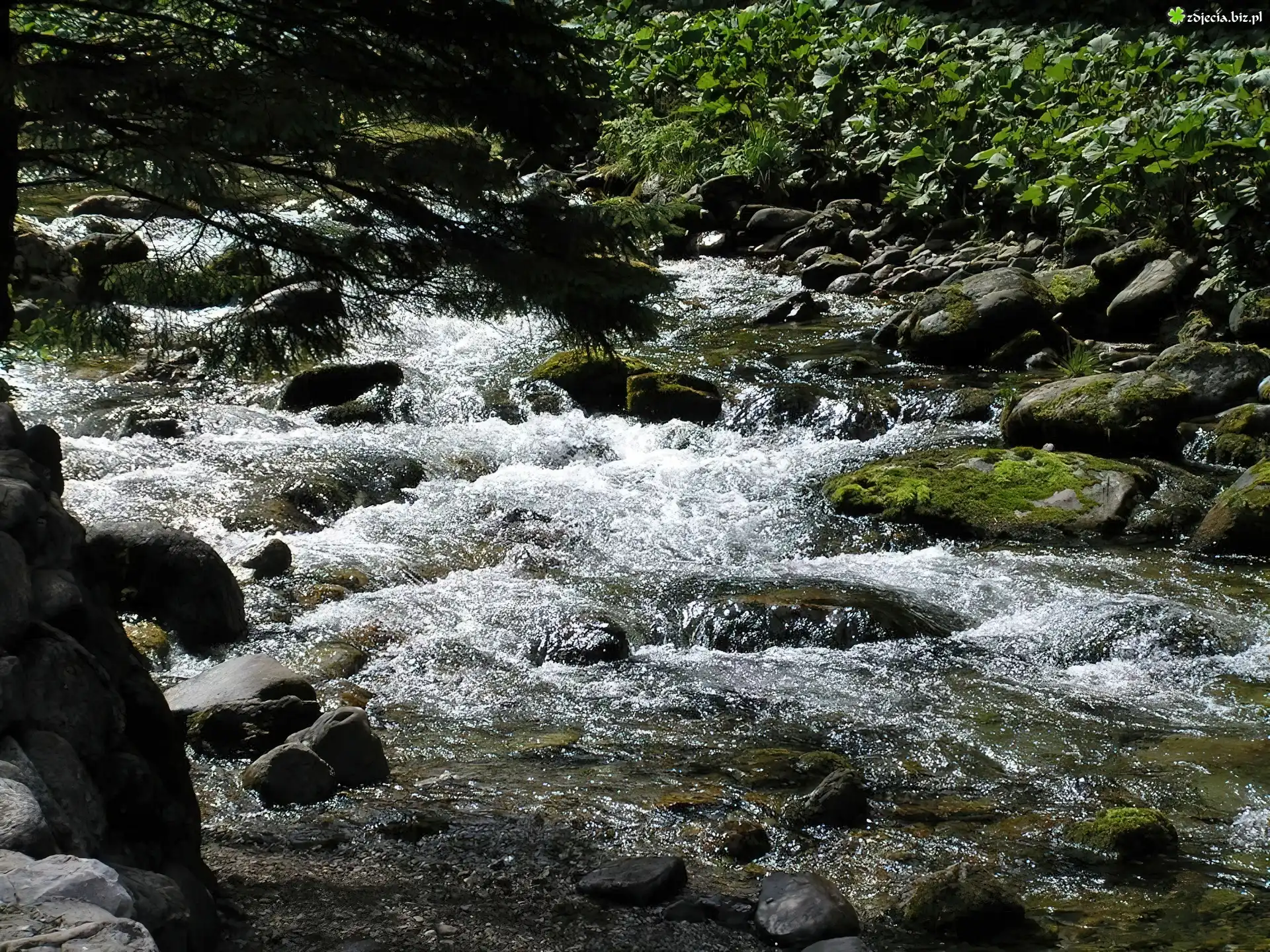 Kamienie, Rzeka