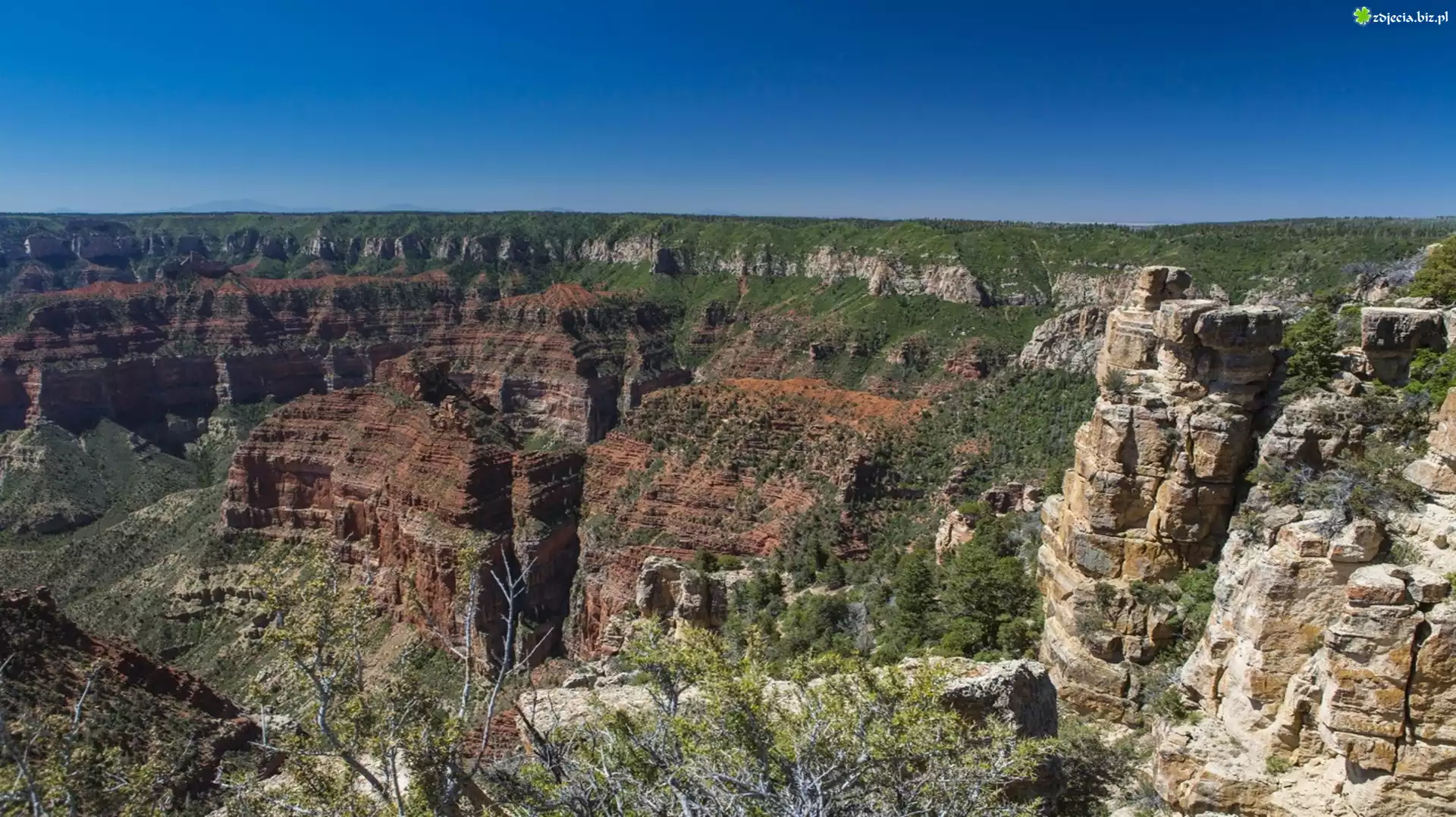 Kanion, Arizona, USA, Park