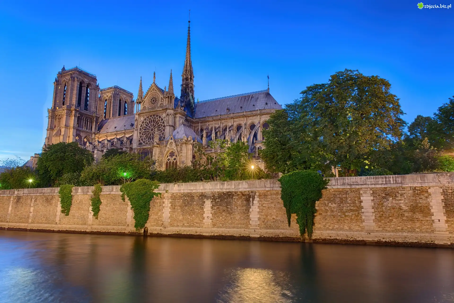 Katedra, Notre, Dame, Paryż