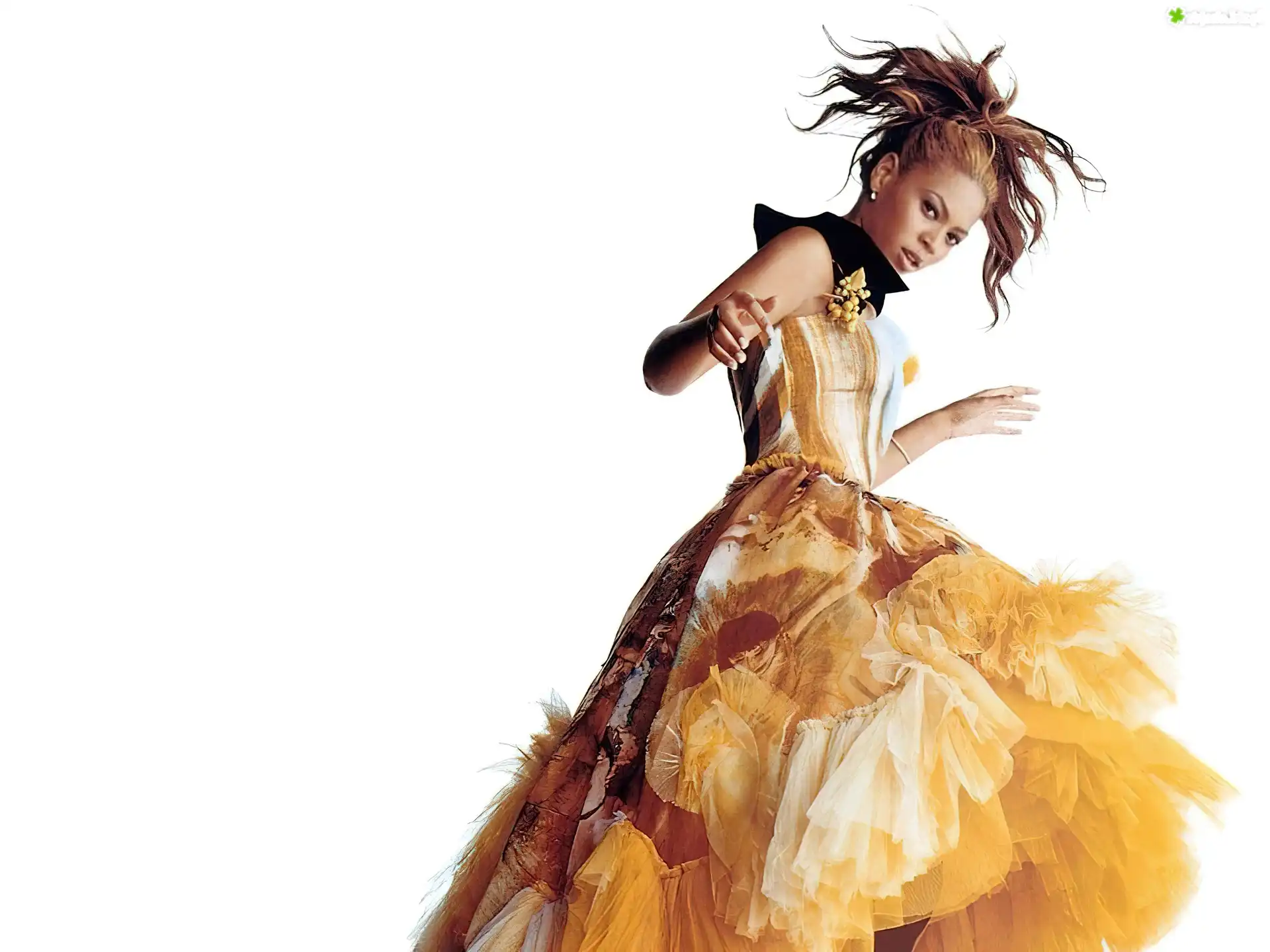 Beyonce Knowles, Suknia