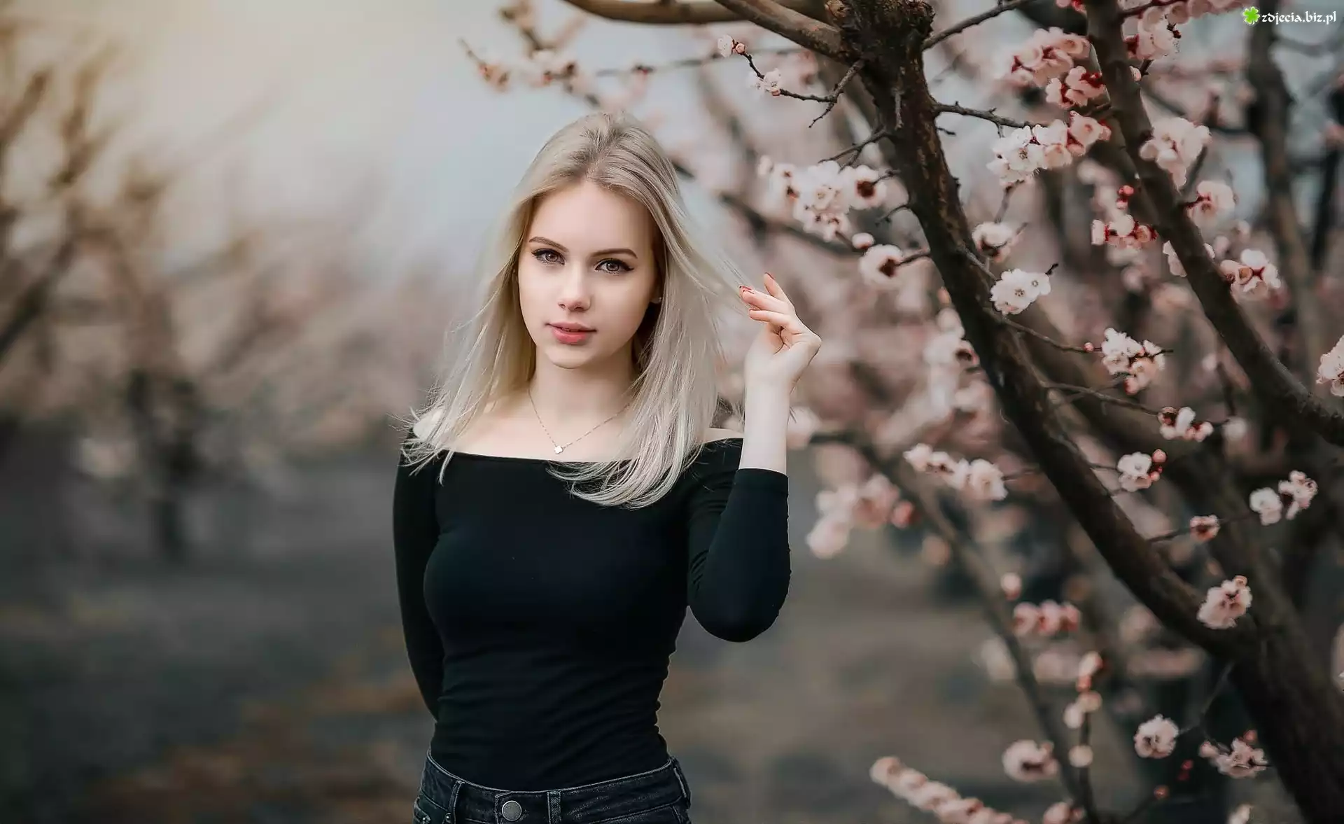 Kobieta, Blondynka, KwitnÄ…ce, Drzewa, Wiosna