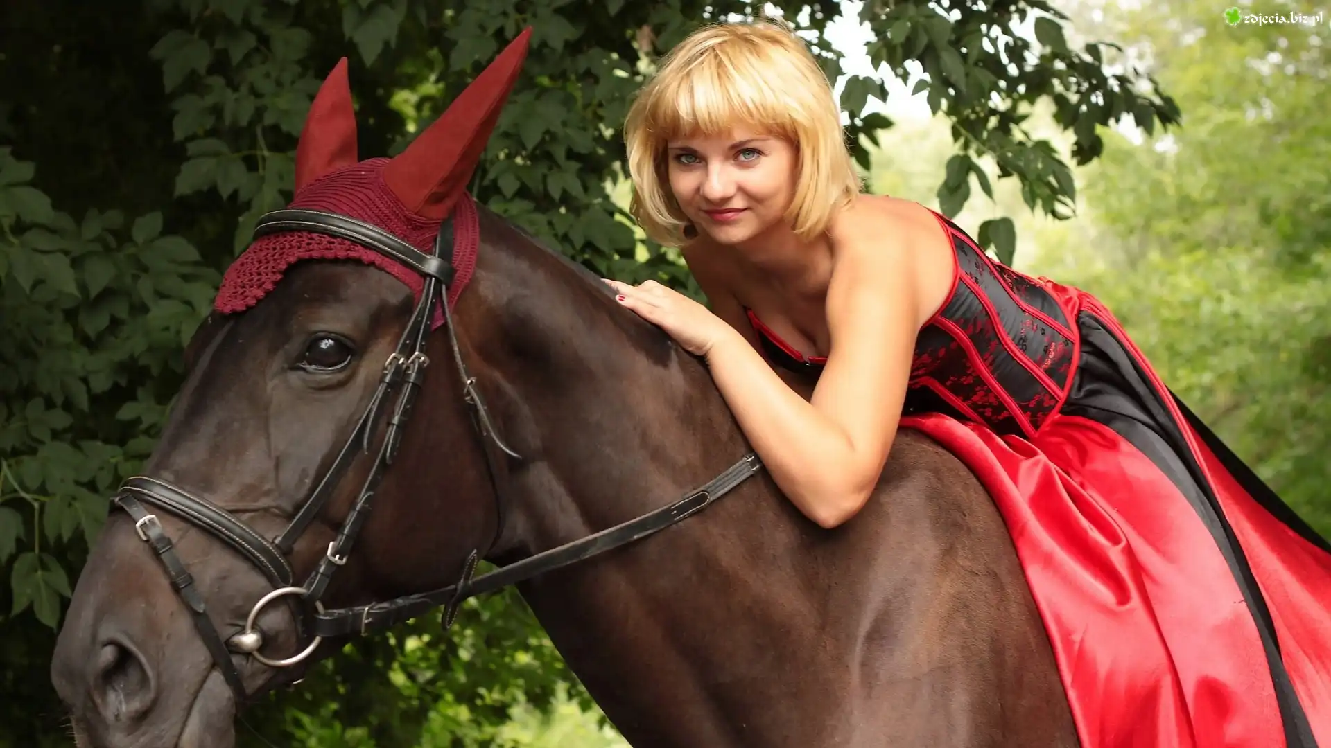 Kobieta, Blondynka, Koń, Uszy