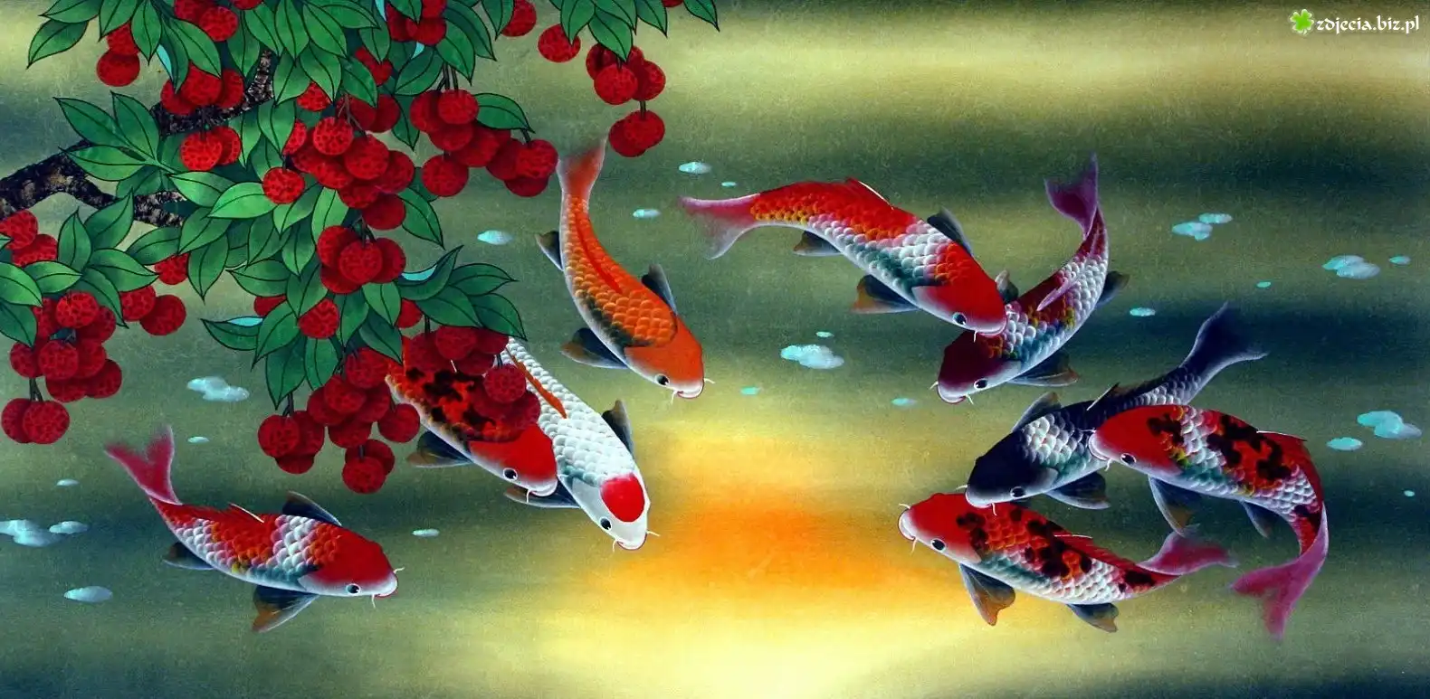 Ryby, Koi, Rośliny