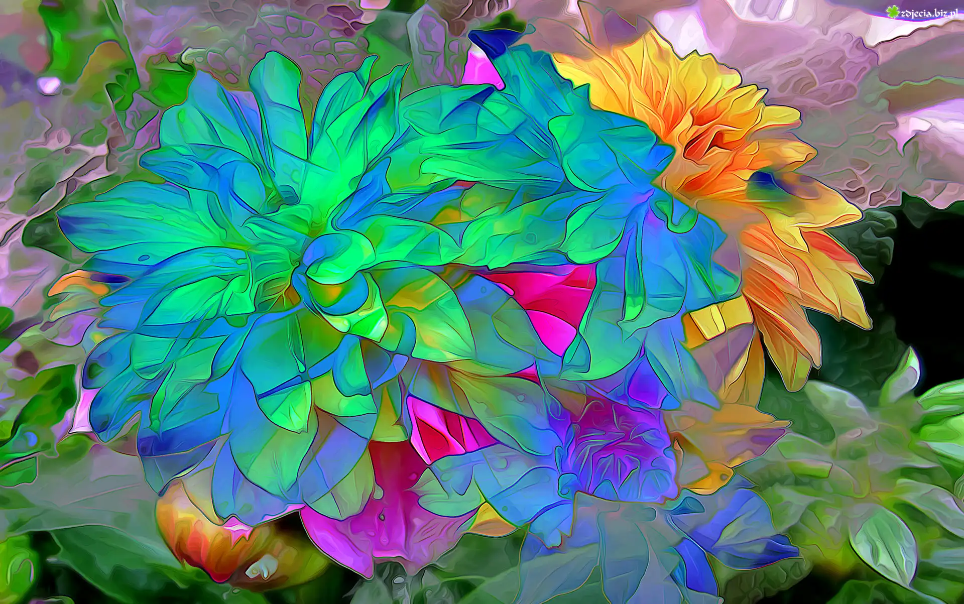 Kwiaty, Kolorowe, Fractalius