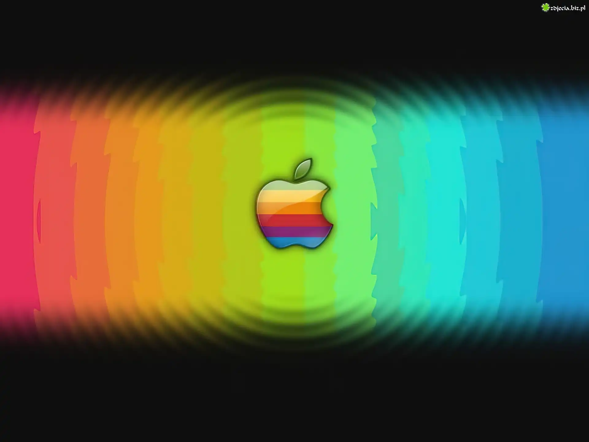 Kolorowe, Kręgi, Tęczowe, Logo, Apple