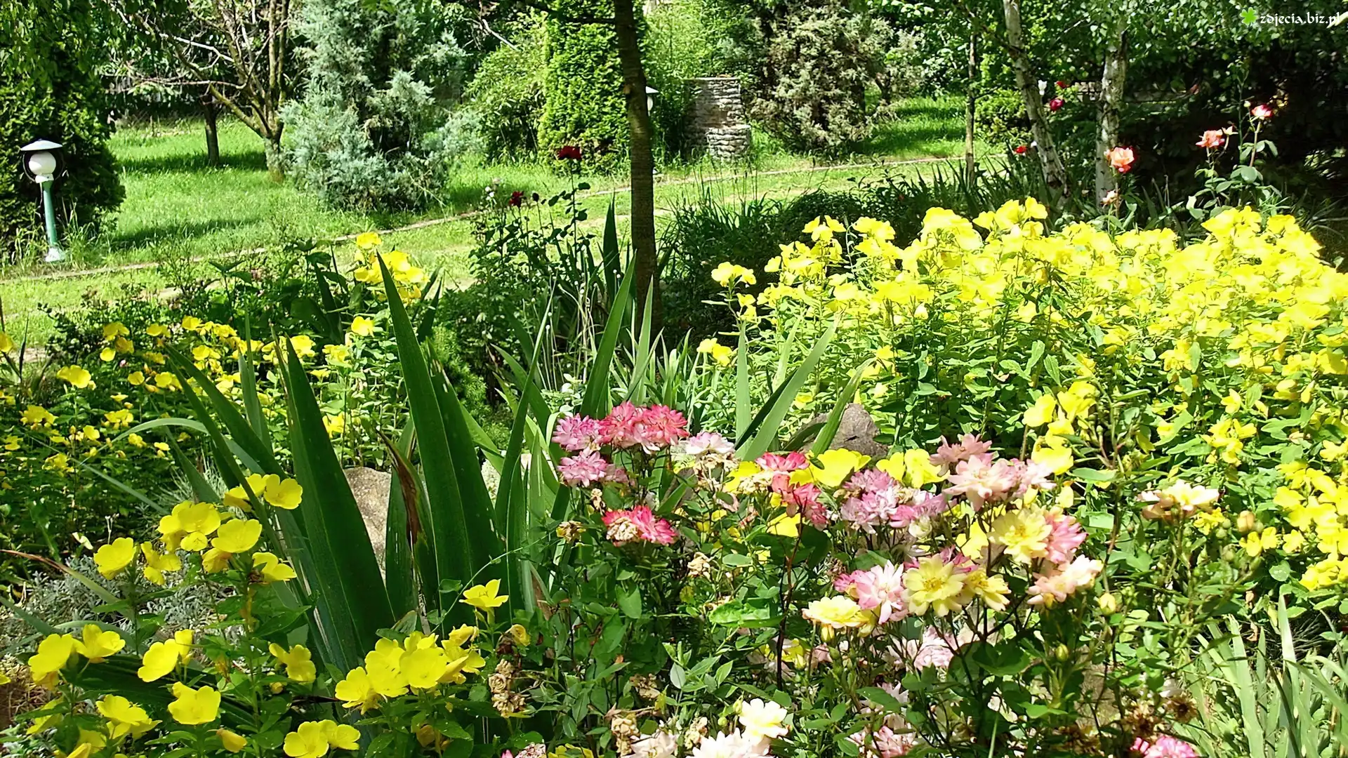 Park, Kolorowe, Kwiaty