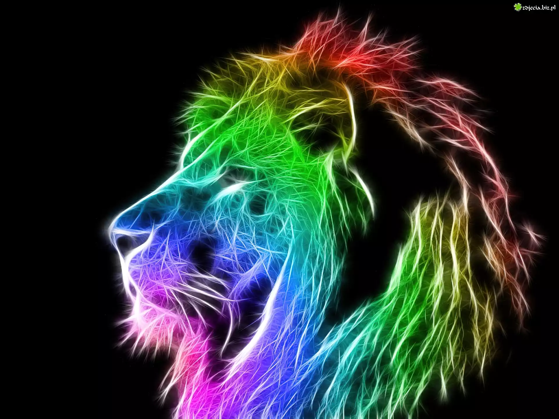 Lew, Kolory, Fractalius