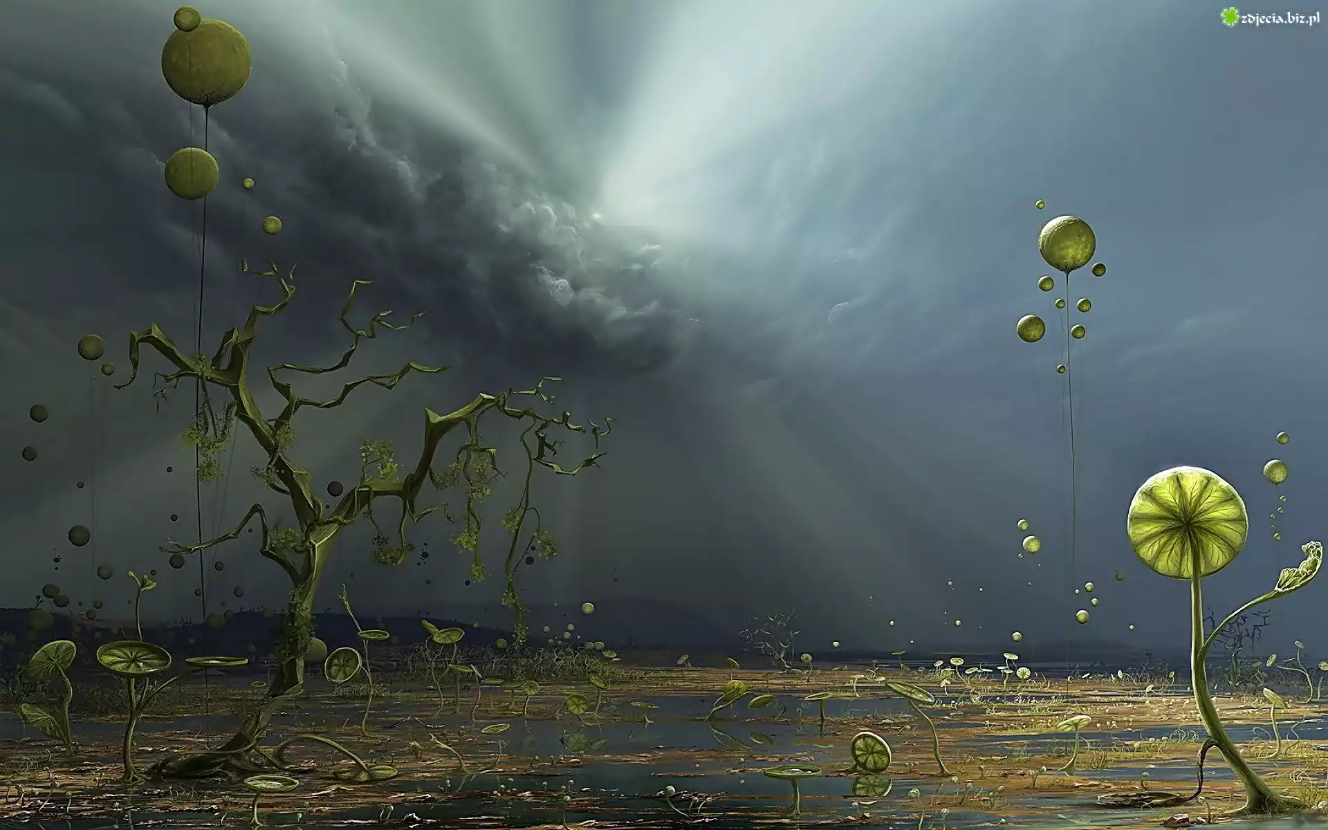 Grafika komputerowa, Fantasy, Drzewa, Rośliny, Chmury, Promienie słońca