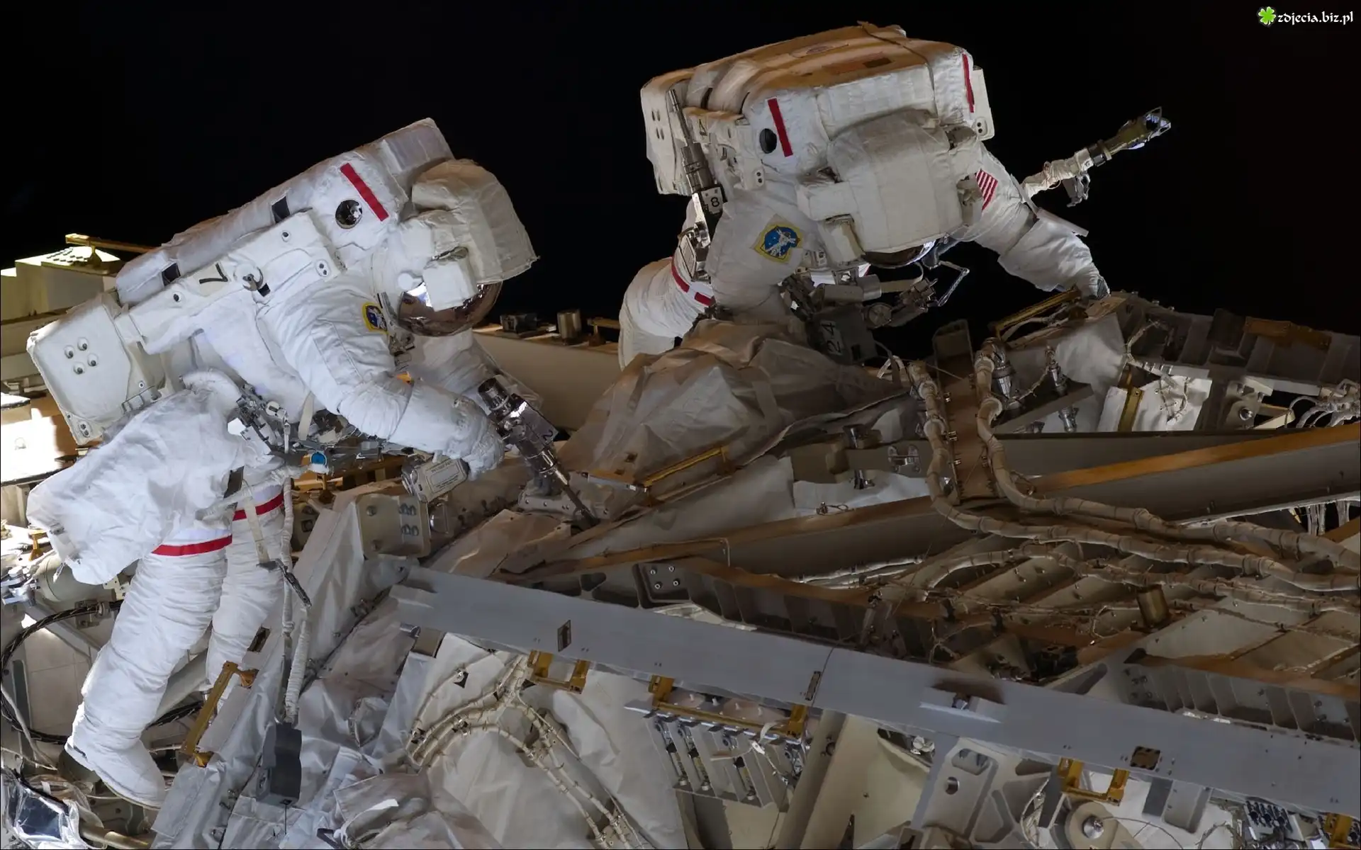 Astronauci, Heidemarie Stefanyshyn-Piper, Robert Shane Kimbrough, Stacja, Kosmiczna