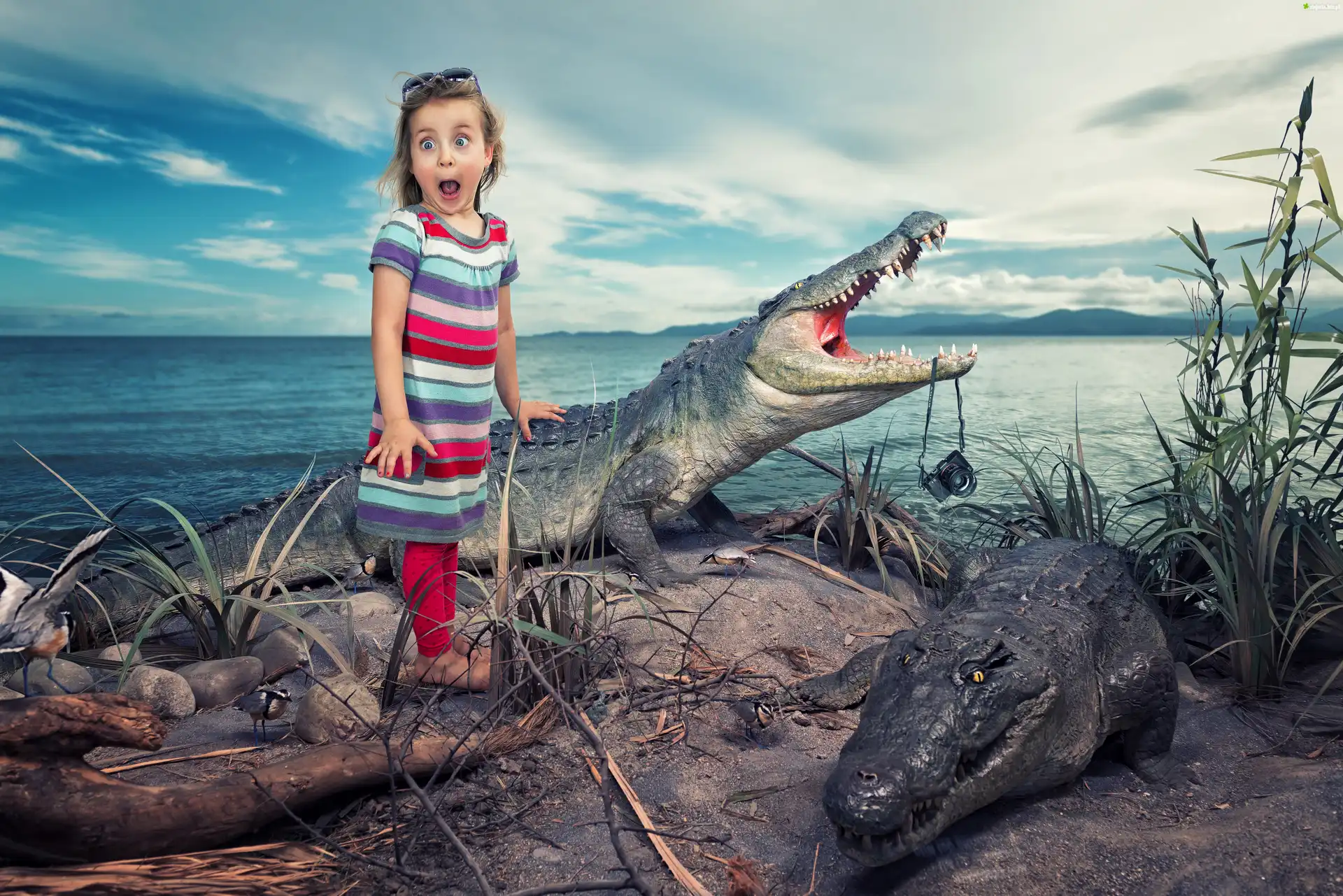 Dziewczynka, Krokodyle, Morze
