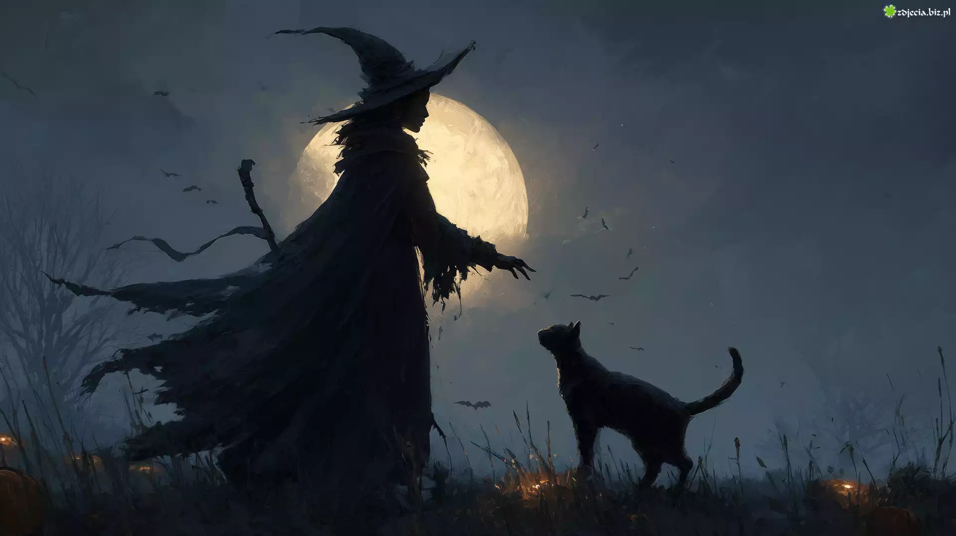 Wiedźma, Czarny, Kot, Księżyc, Halloween, Grafika AI