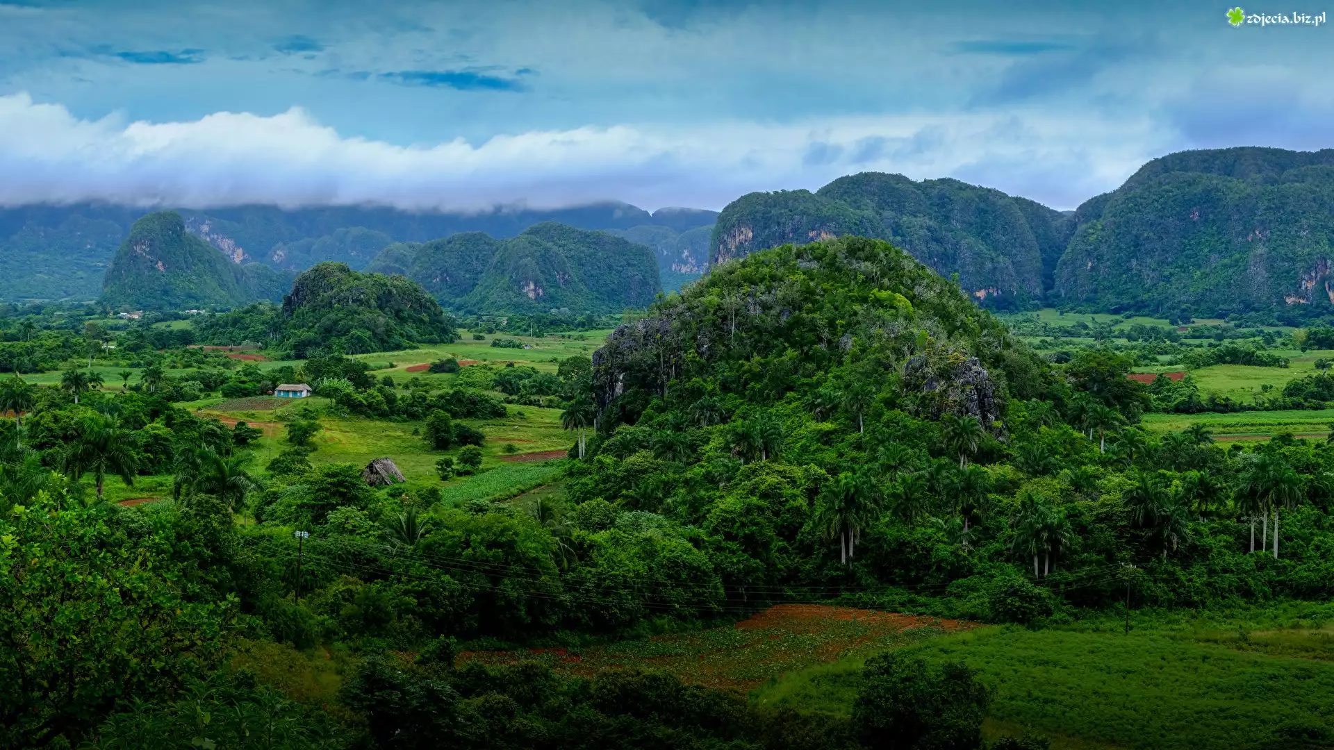 Kuba, Prowincja Pinar del Rio, Dolina Valle de Vinales, Wzgórza, Pasmo Sierra de los Organos