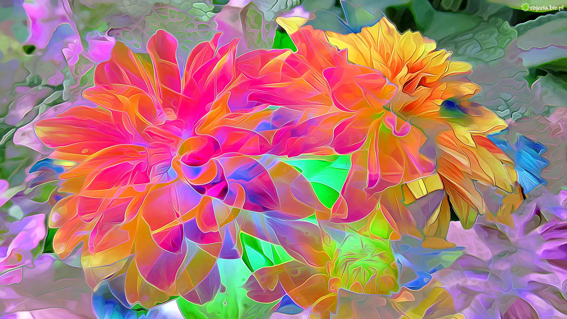 Kolorowe, Kwiaty, Fractalius