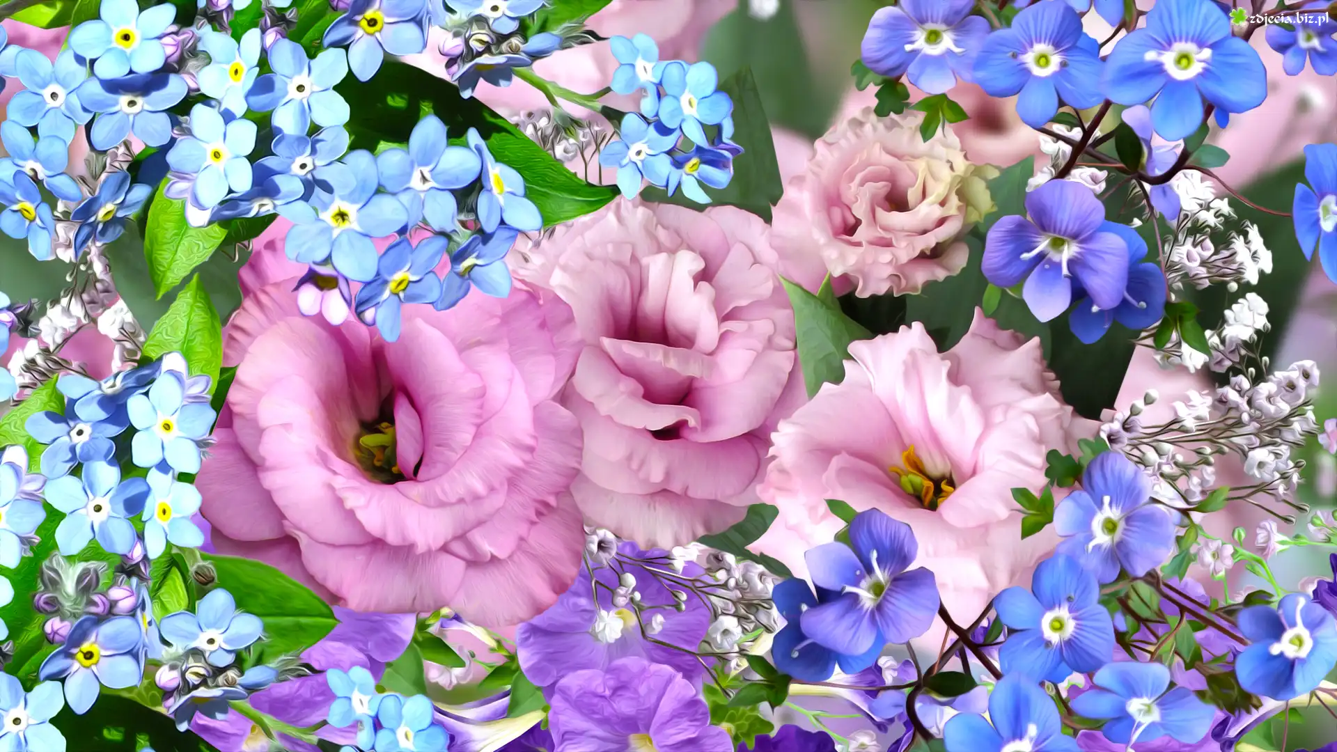 Kwiaty, Eustoma, Niezapominajki, Grafika