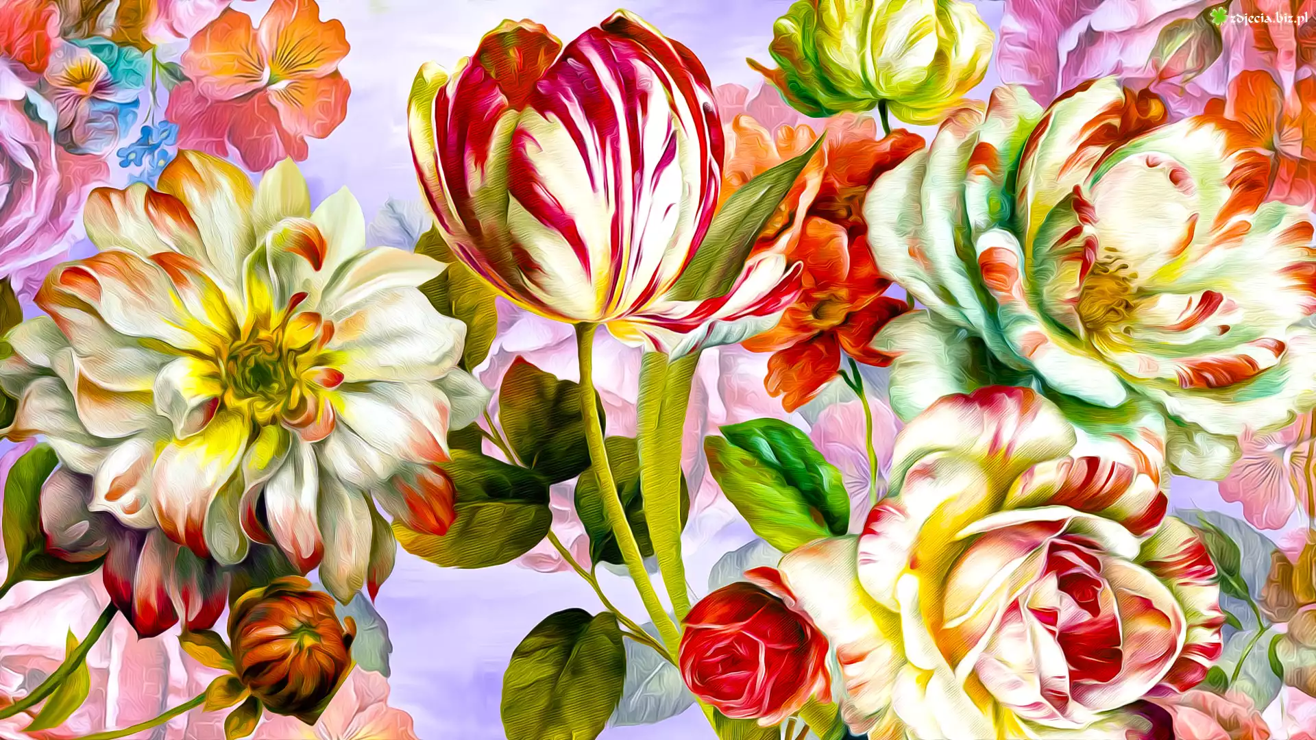 Kwiaty, Kolorowe, Róże, Tulipan, Grafika