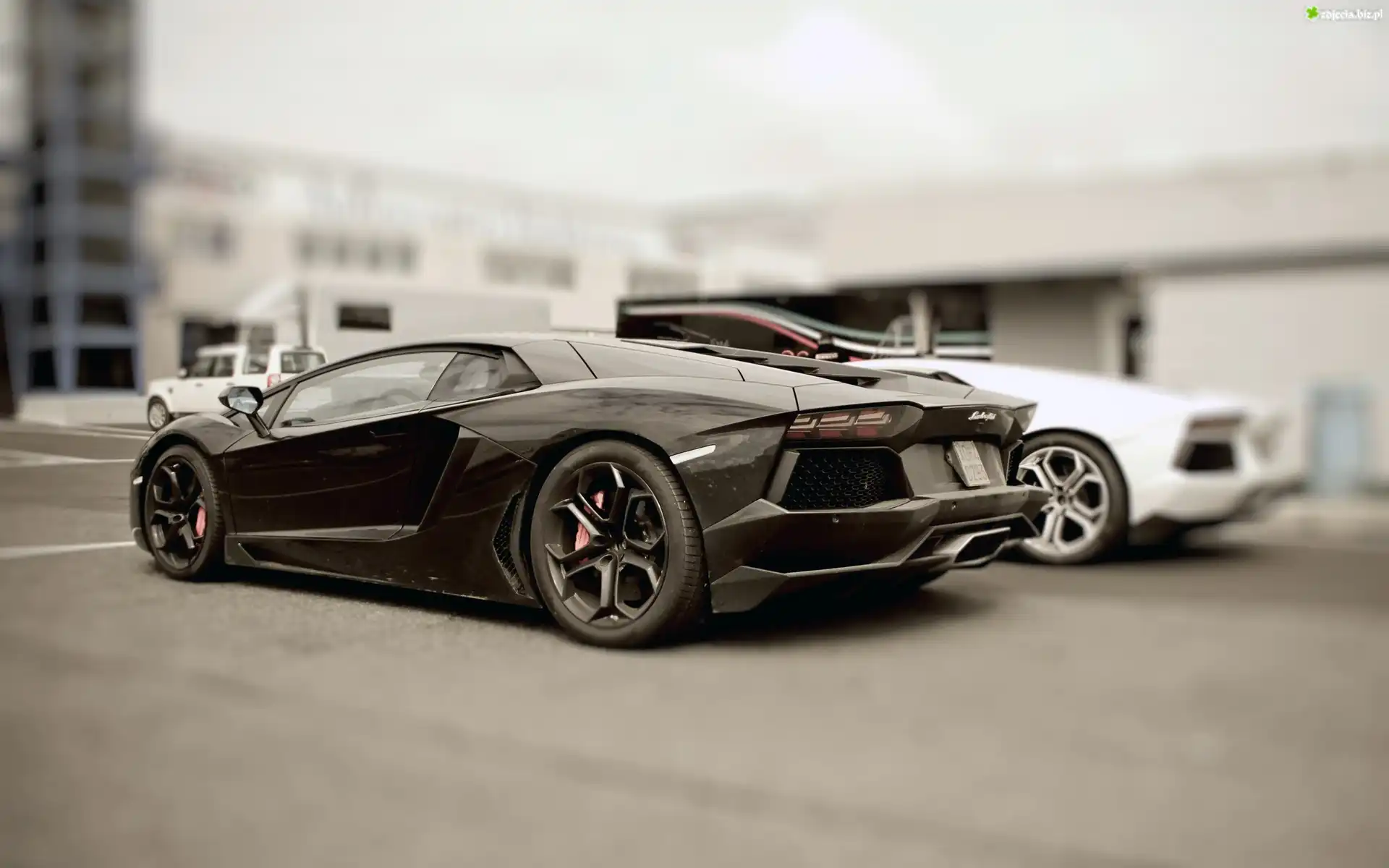 Czarne, Lamborghini Aventador