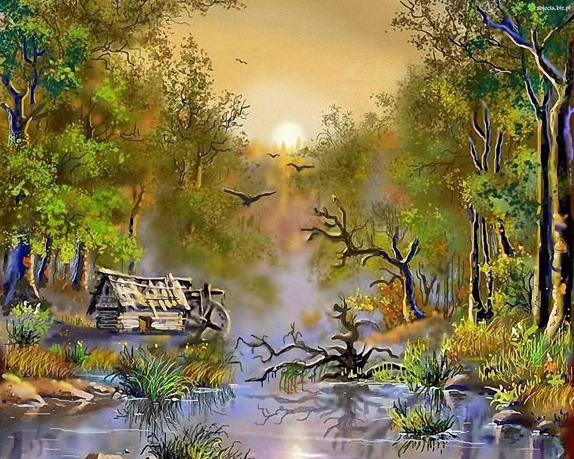 Bagno, Las, Szopa