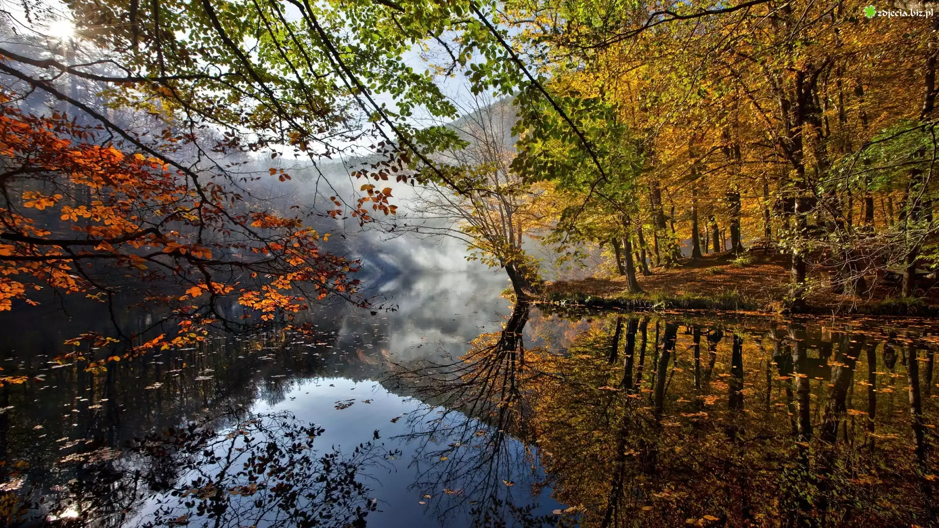 Jesień, Las, Jezioro