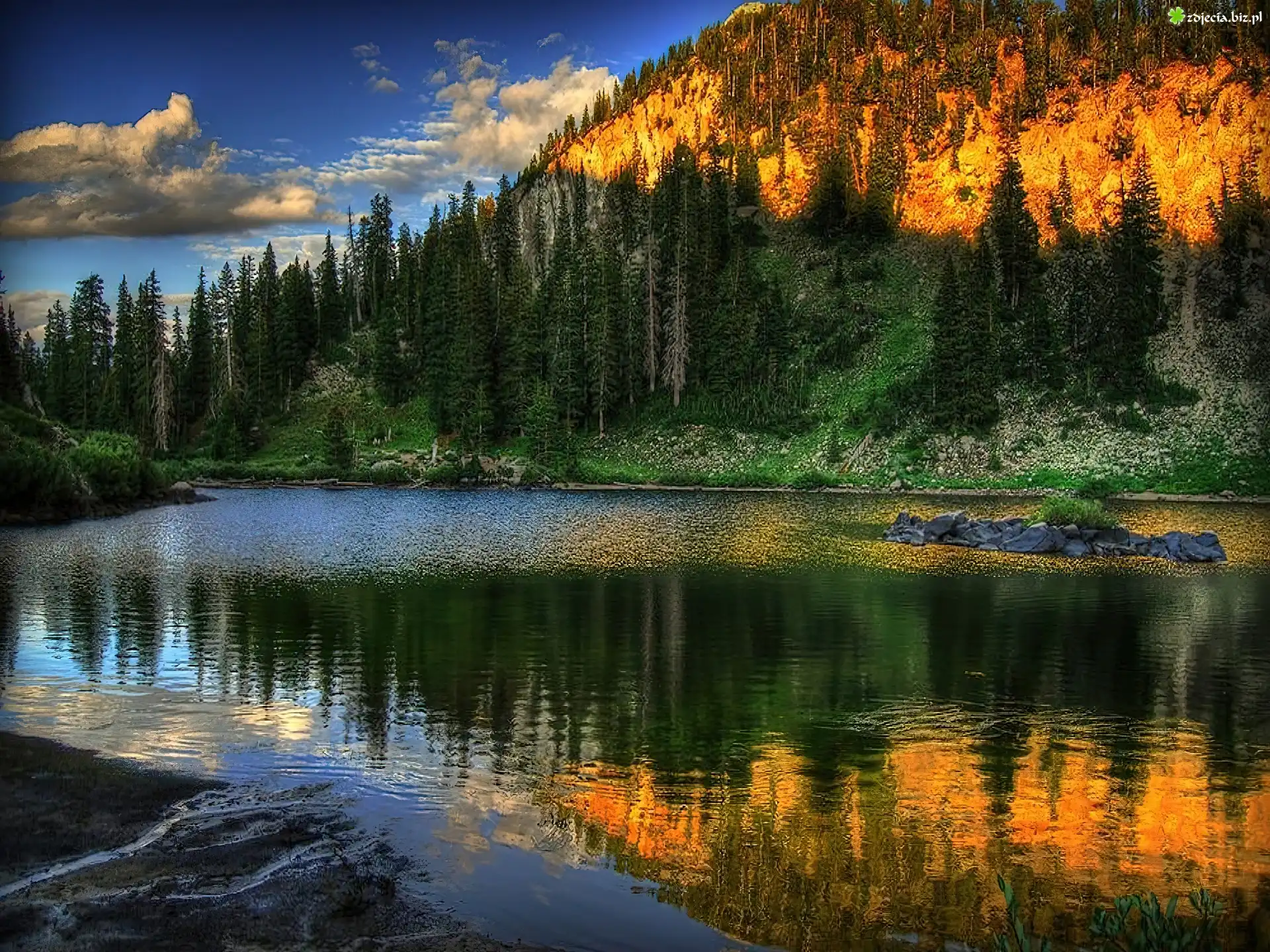 Las, Jezioro