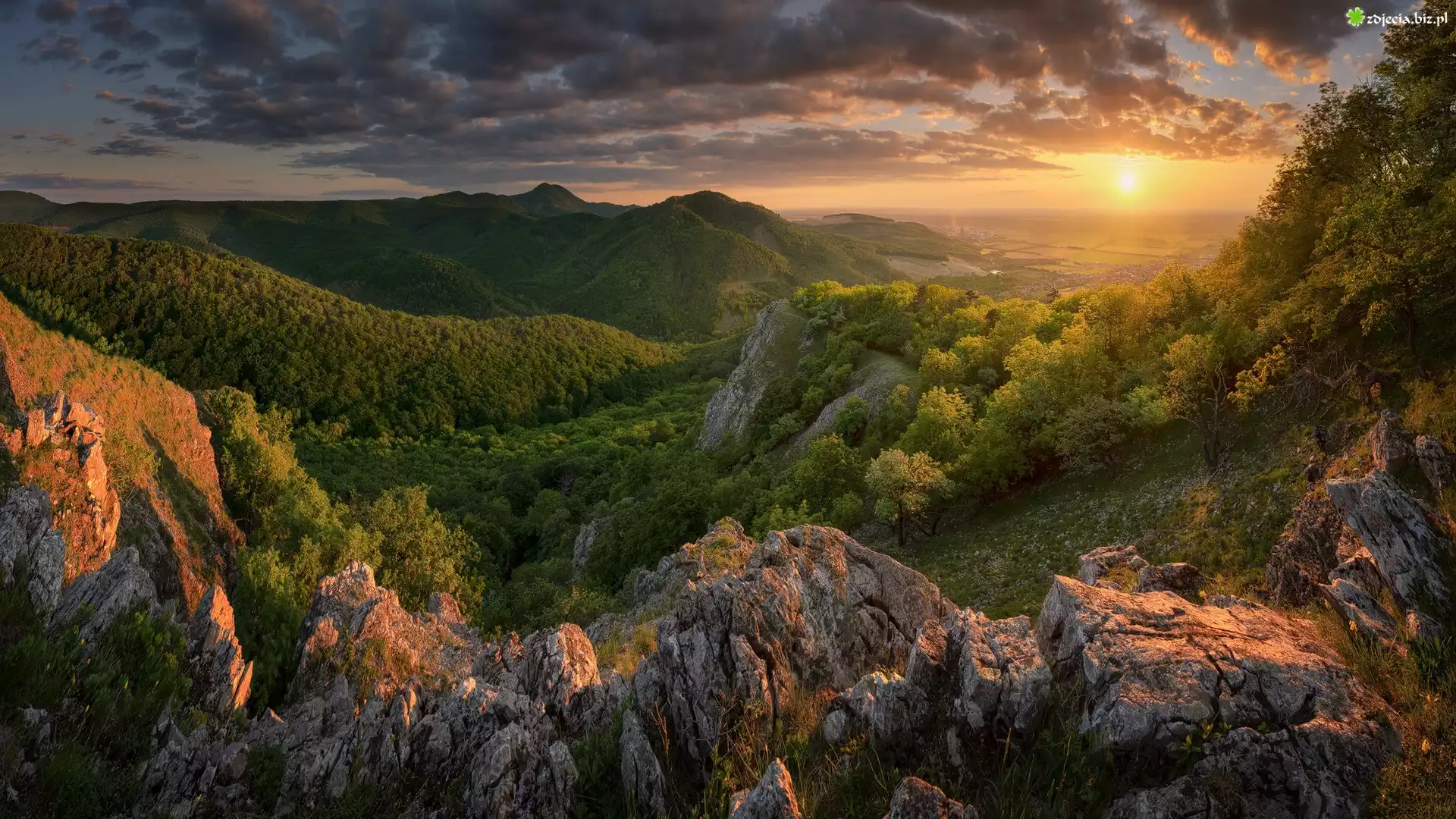 Słowacja, Góry, Małe Karpaty, Skały, Wschód słońca, Lasy