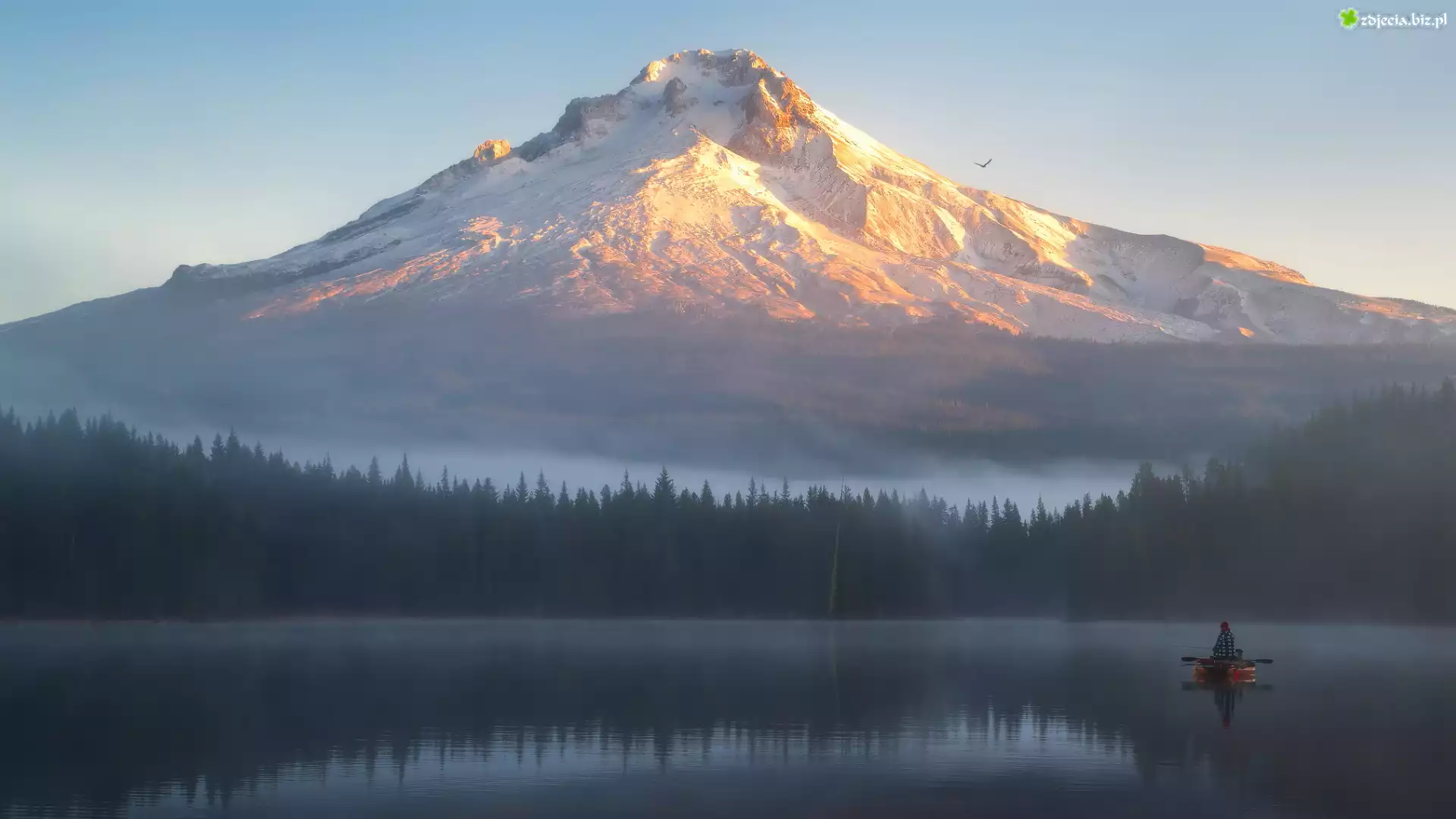 Stratowulkan, Góra, Mount Hood, Lasy, Mgła, Poranek, Jezioro, Rybak, Łódka, Stan Oregon, Stany Zjednoczone
