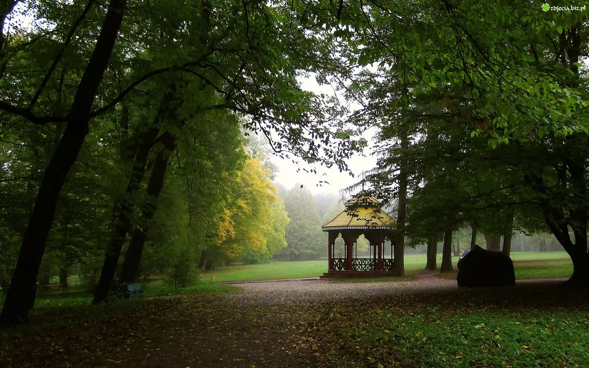 Lato, Park, Mgła, Altana