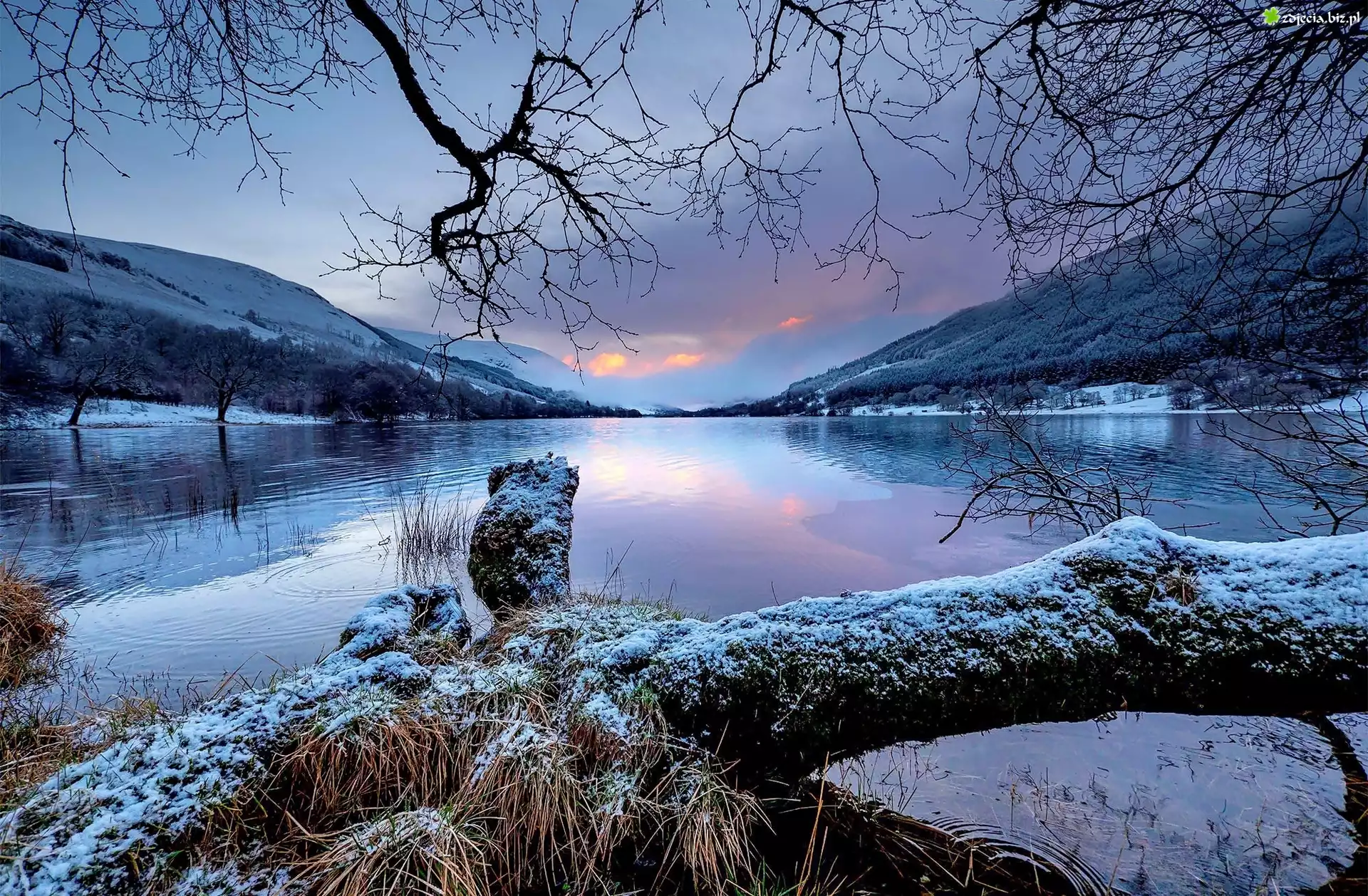 Jezioro Loch Voil, Góry, Lasy, Drzewa, Zima, Szkocja