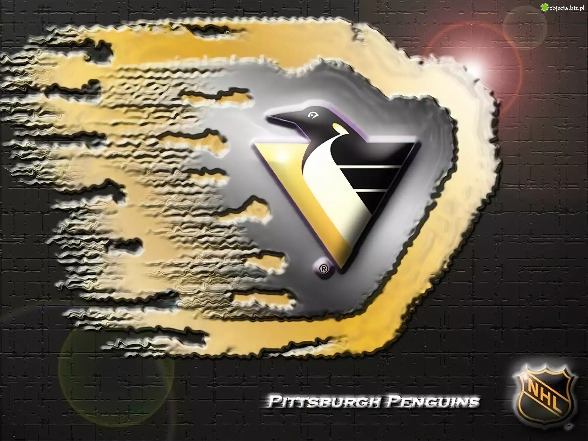Logo, Drużyny, NHL, Pittsburgh Penguins