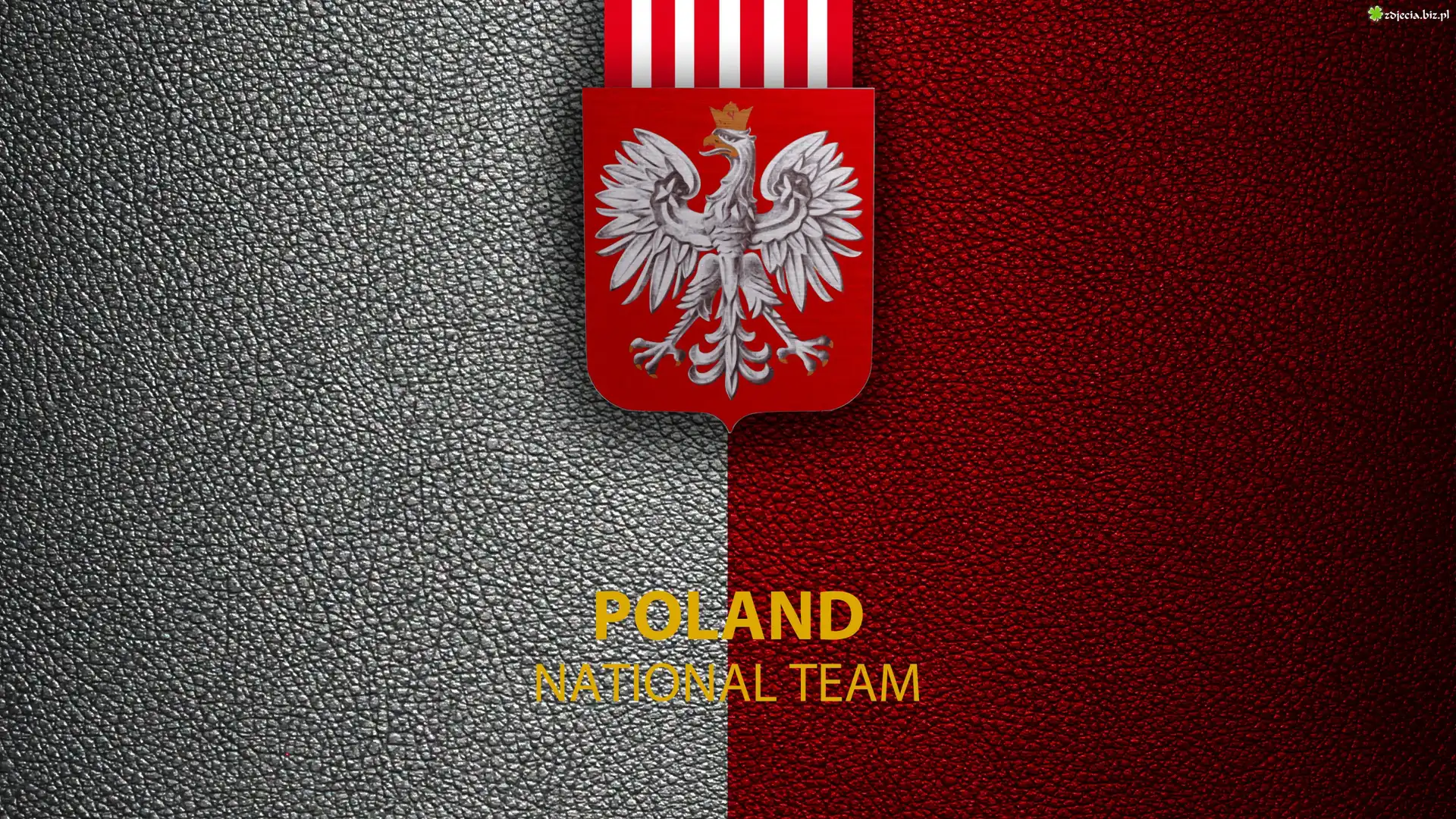 Logo, Godło, Piłka nożna, Reprezentacja Polski
