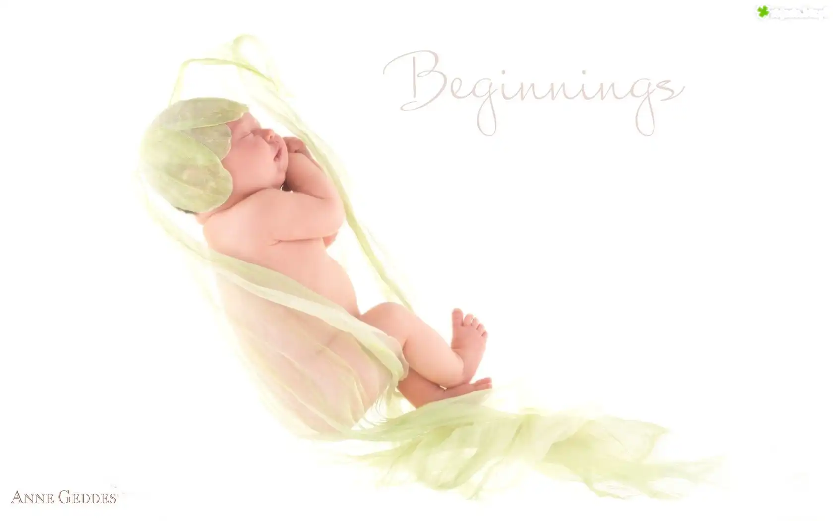 Małe, Śpiące, Dziecko, Praca, Anne Geddes