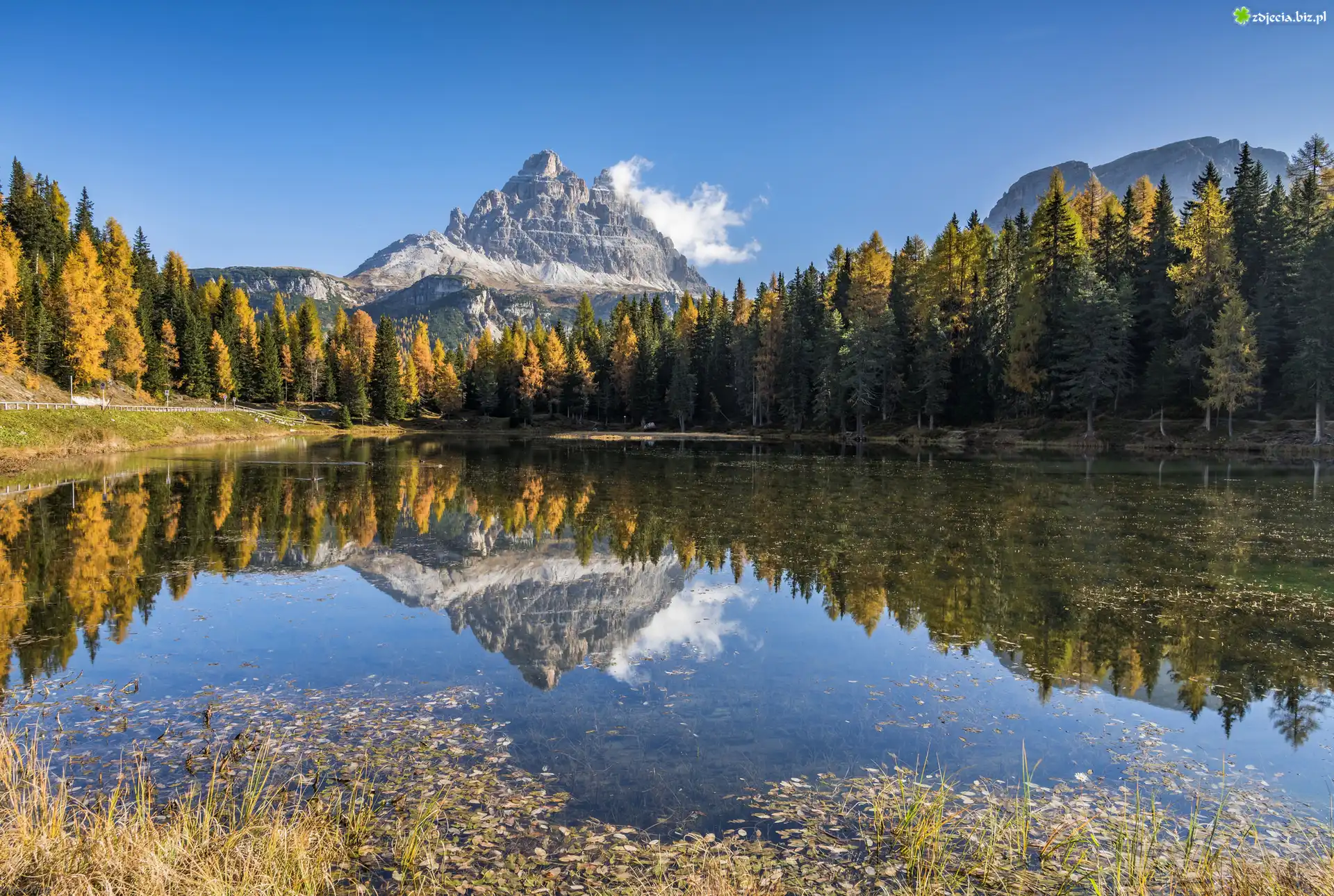 Masyw Tre Cime di Lavaredo, Góry, Dolomity, Jezioro Antorno Lake, Lasy, Drzewa, Prowincja Belluno, Włochy