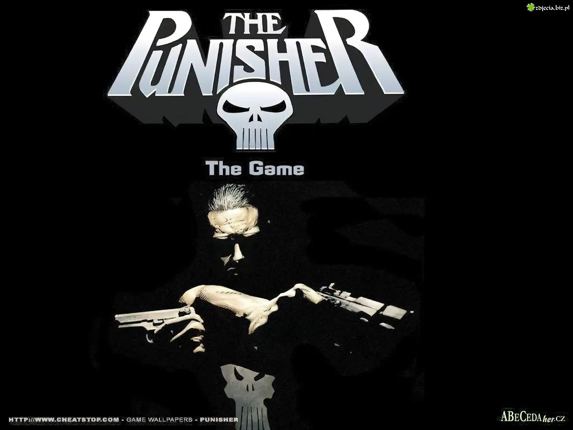 mężczyzna, broń, twarz, The Punisher
