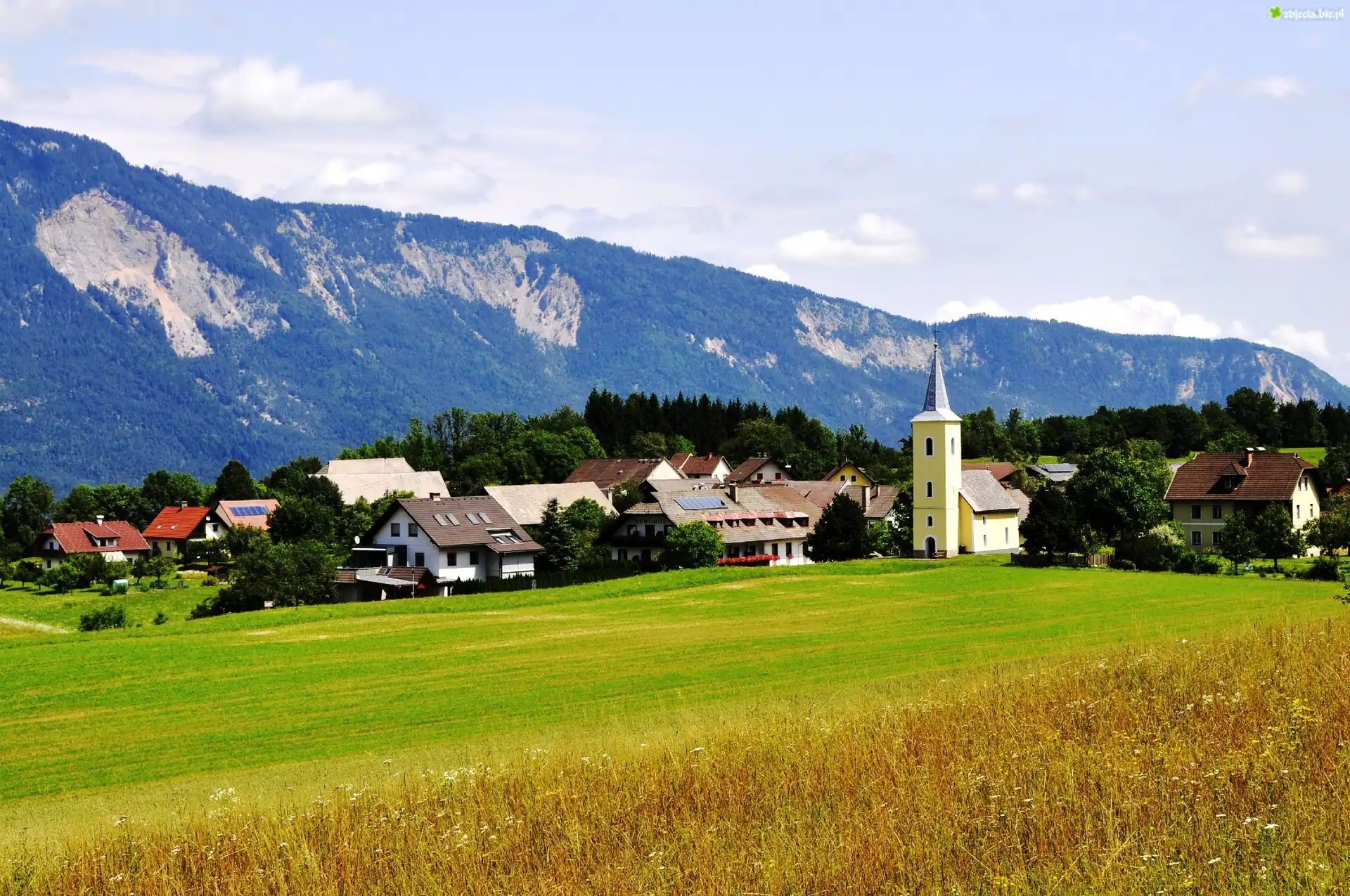 Miasteczko, Góry, Łąka, Austria