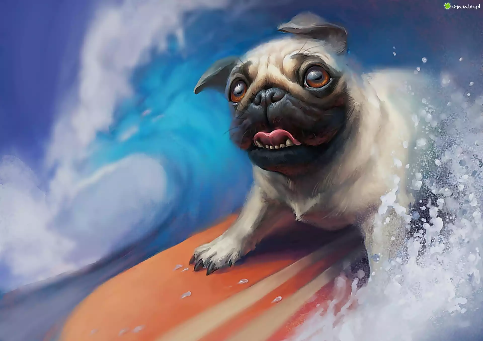 Åšmieszne, Pies, Deska, Surfing, Woda, Grafika